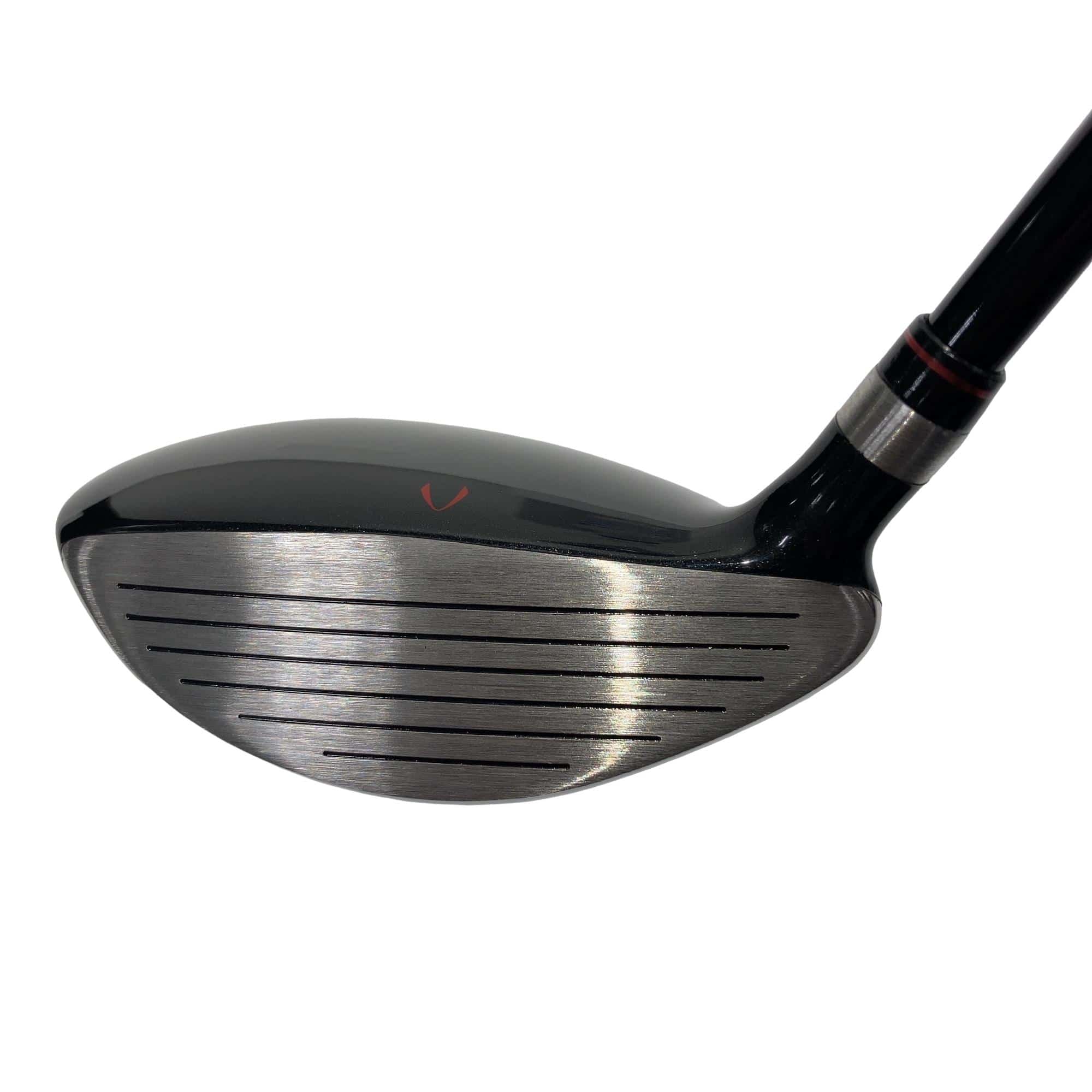 �j�Q�j�@���������O�X���[�e�B���e�B�@�t�T