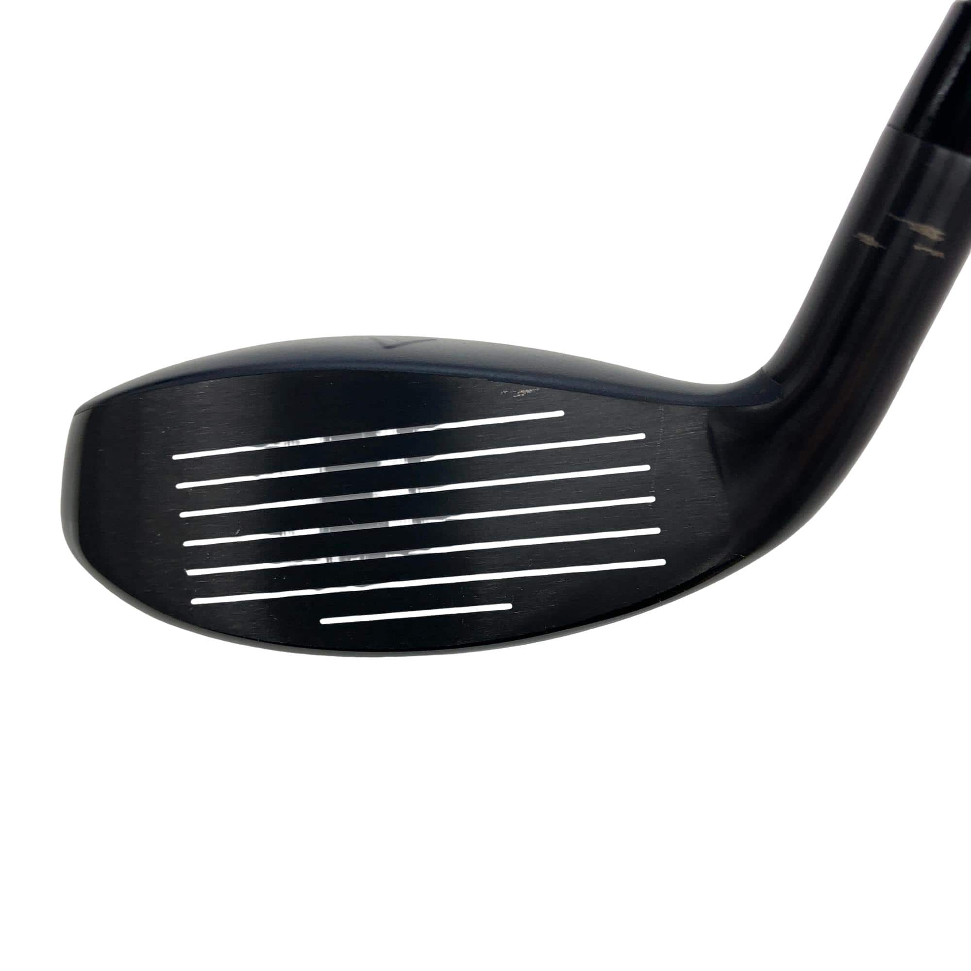 �w�q�@�t�S