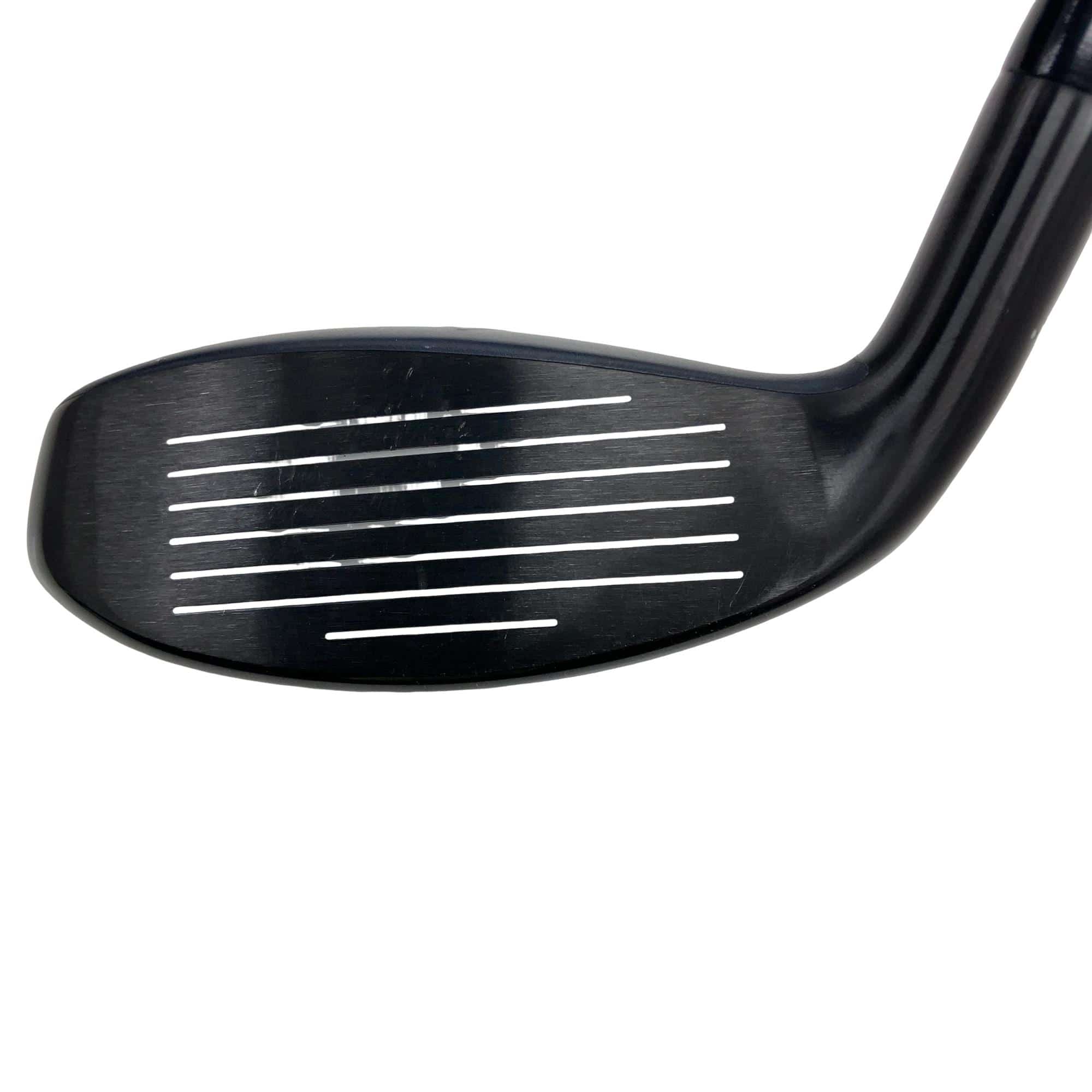 �w�q�@�t�T