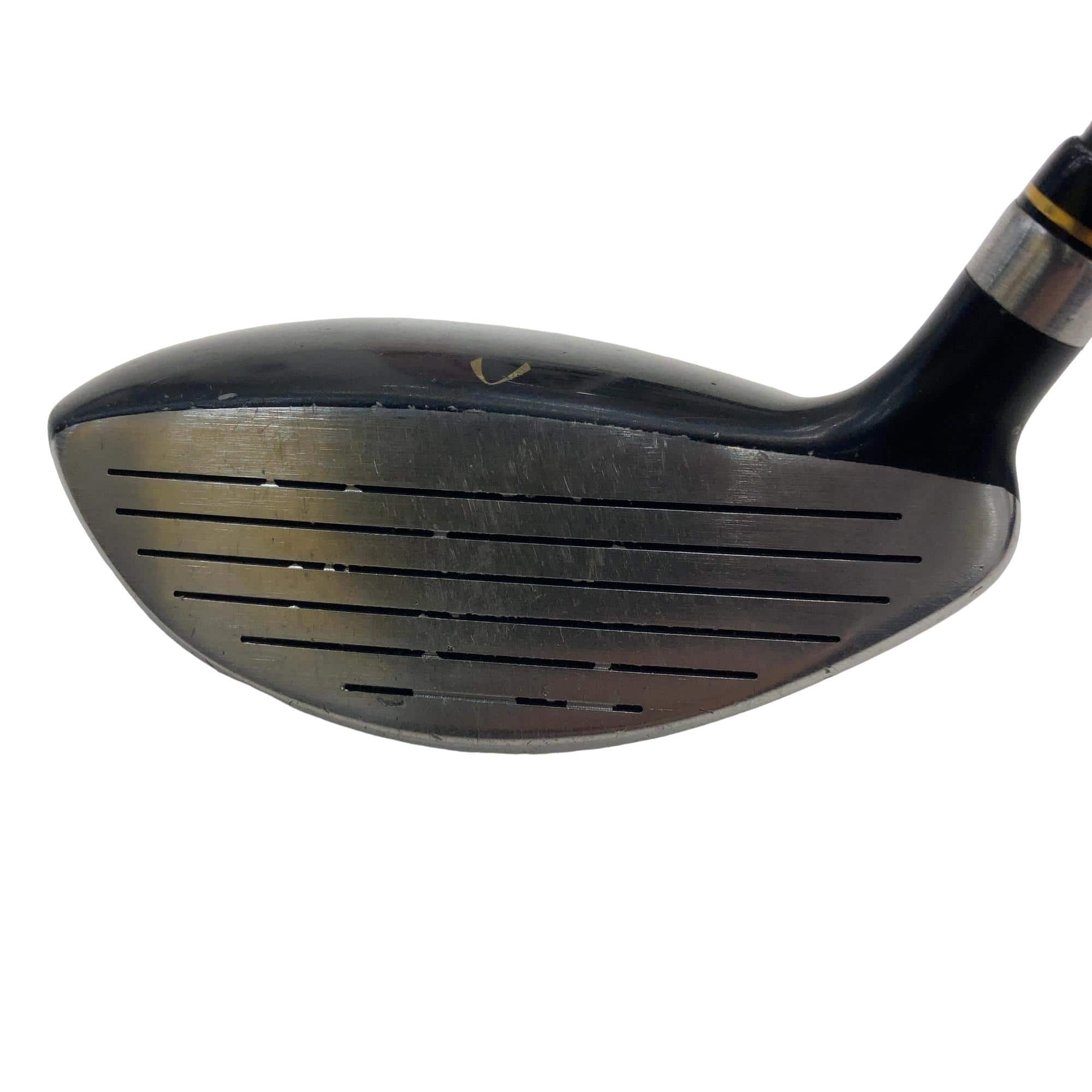 �j�Q�j�@���������O�X���[�e�B���e�B�@�t�U