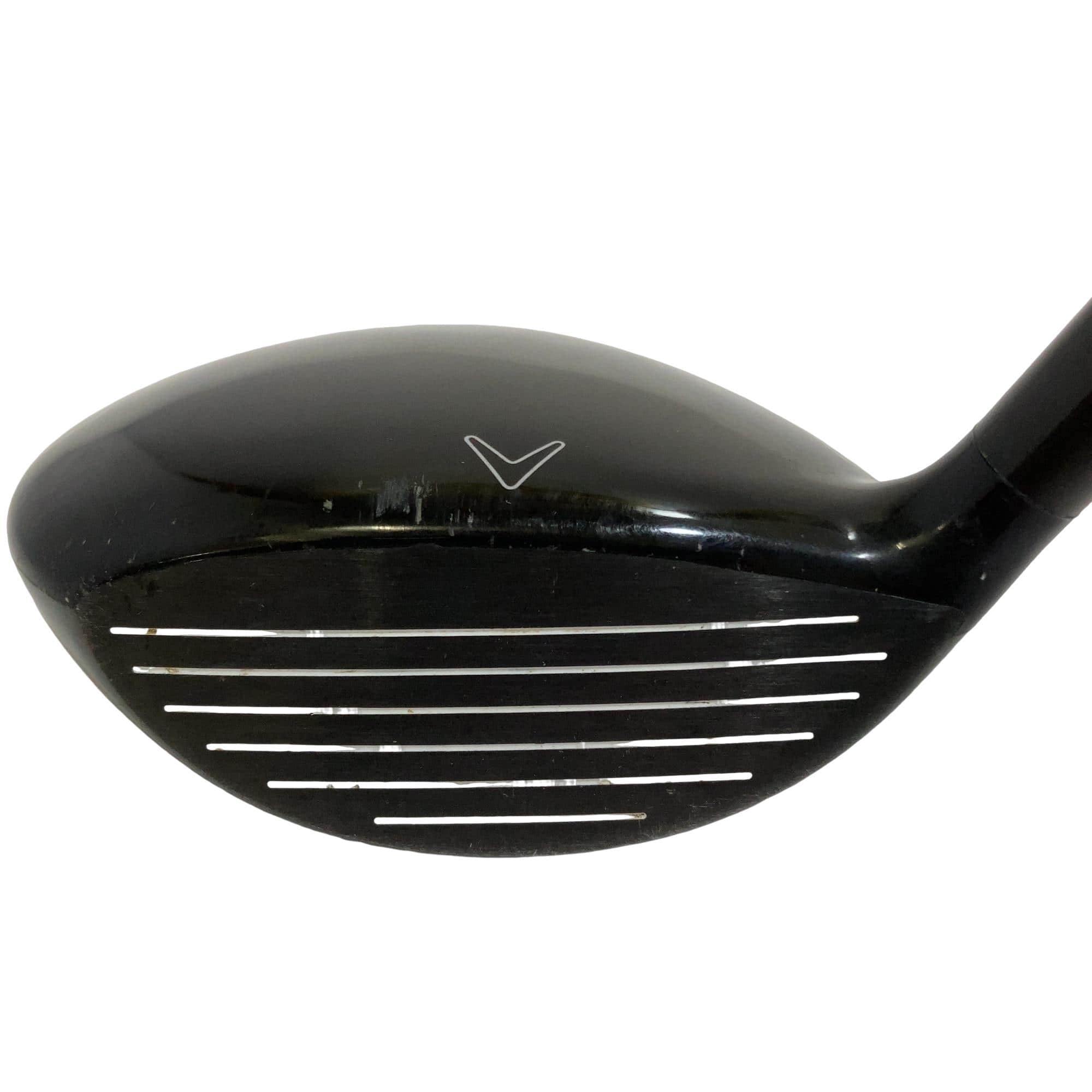 �w�Q�@�g�n�s�@�@�X�v�@���f�B�[�X