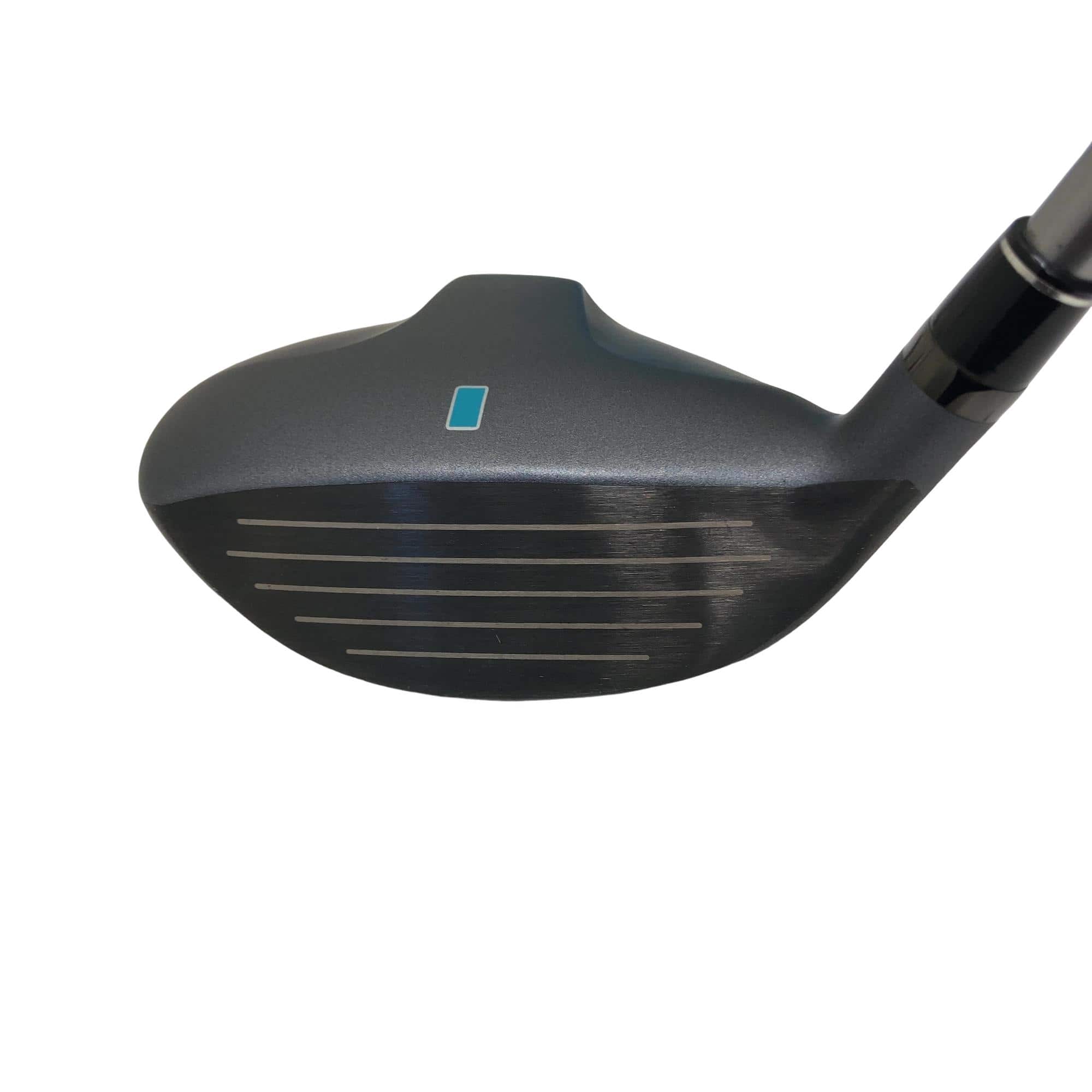 �b�����������@�p�@�t�T