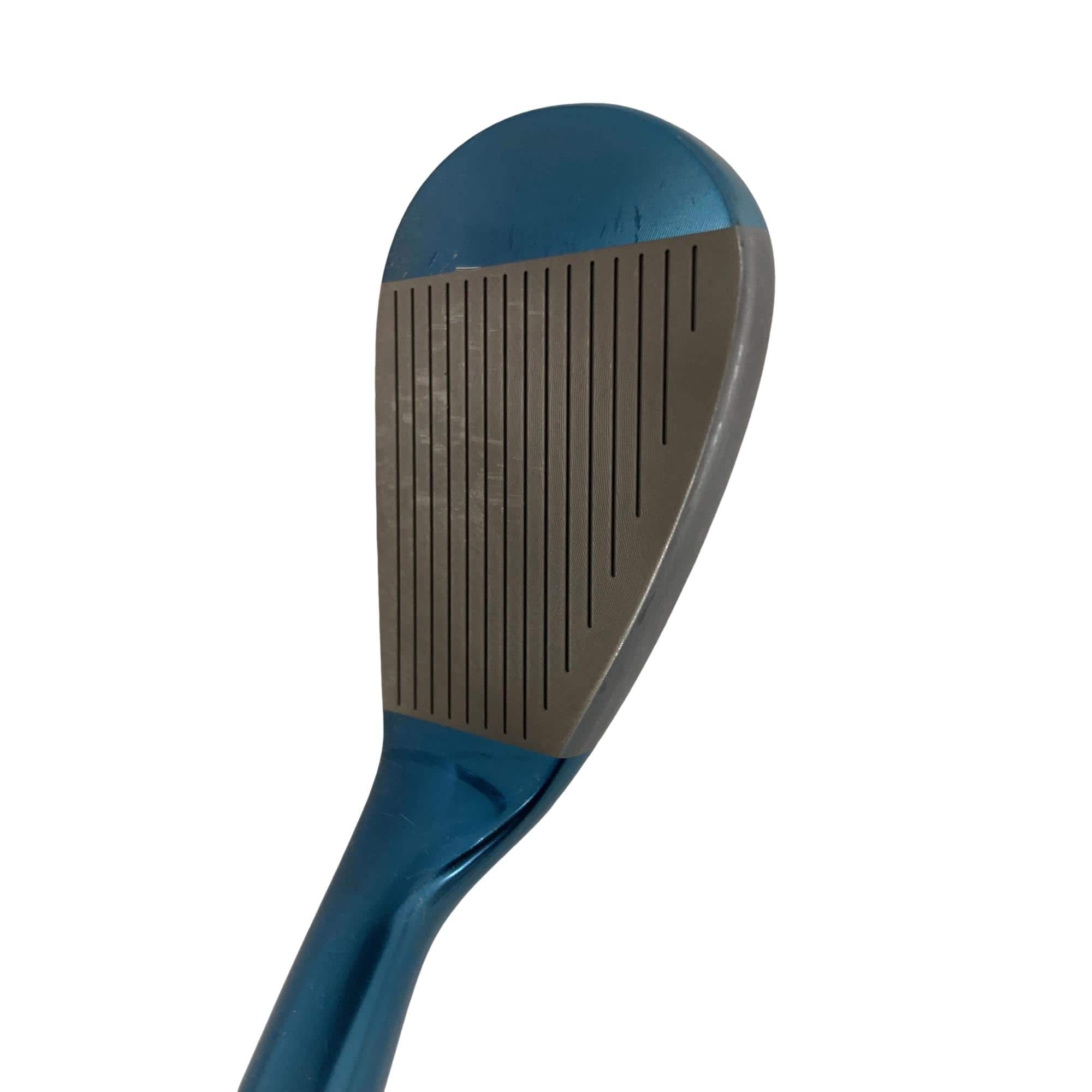 �l�����������@�o�����@�r�P�W�i�u���[�j�@�T�Q°�^�O�X°