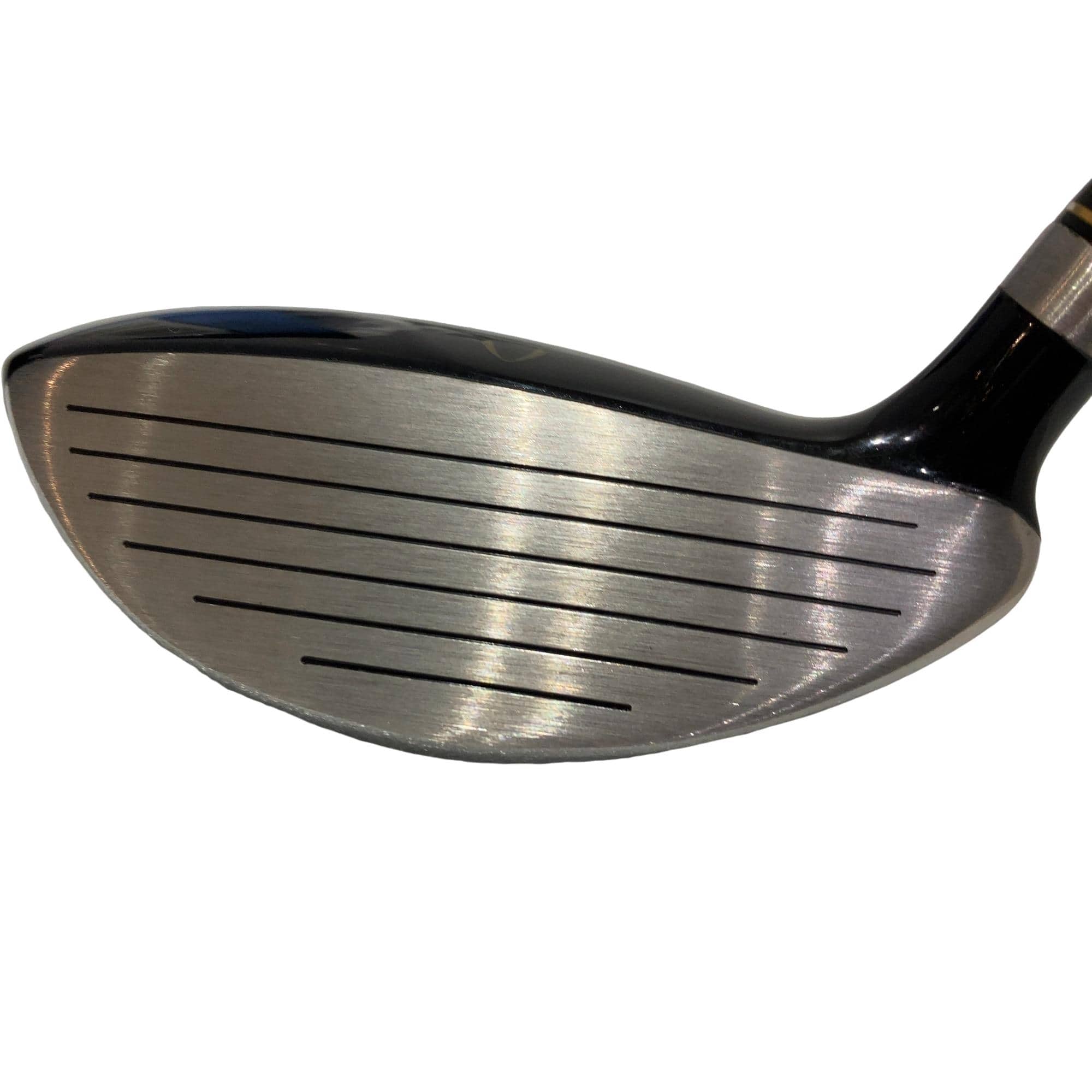 �j�Q�j�@���������O�X���[�e�B���e�B�@�t�U