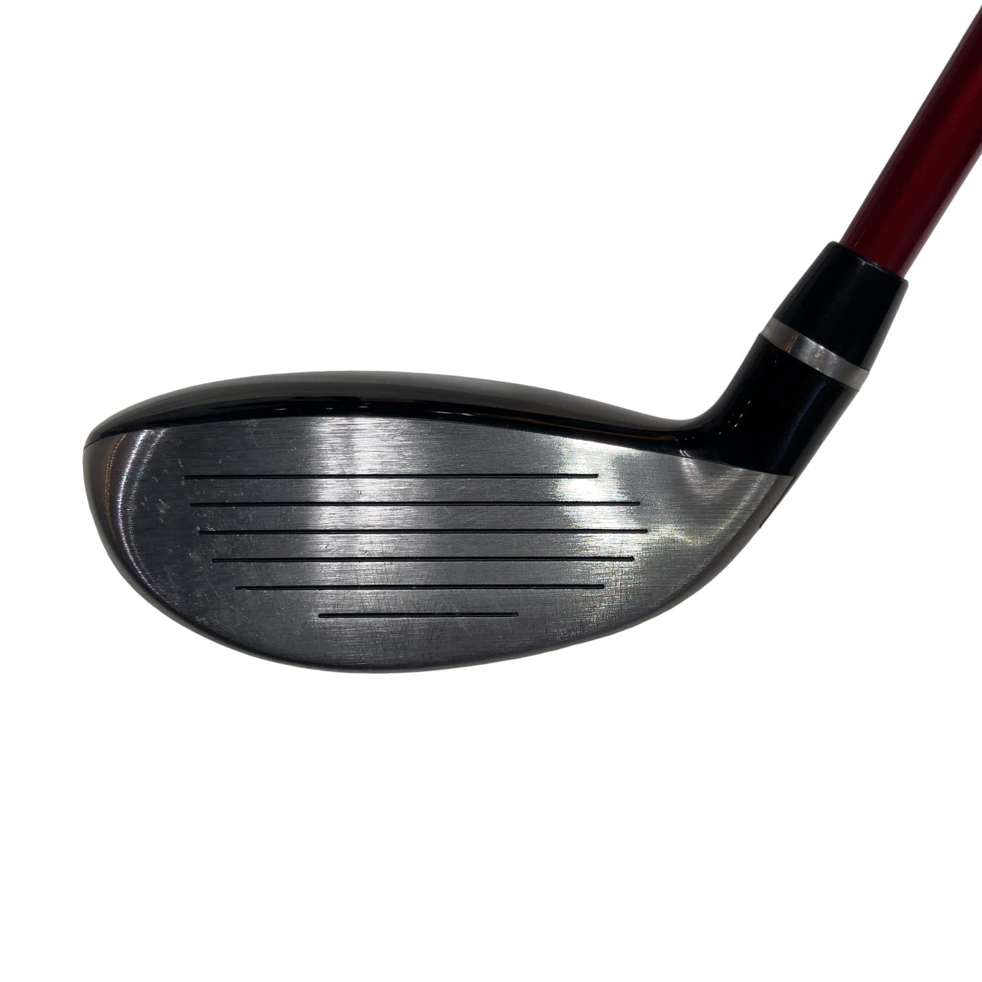 �q�l�w�@�u�c�@�t�T