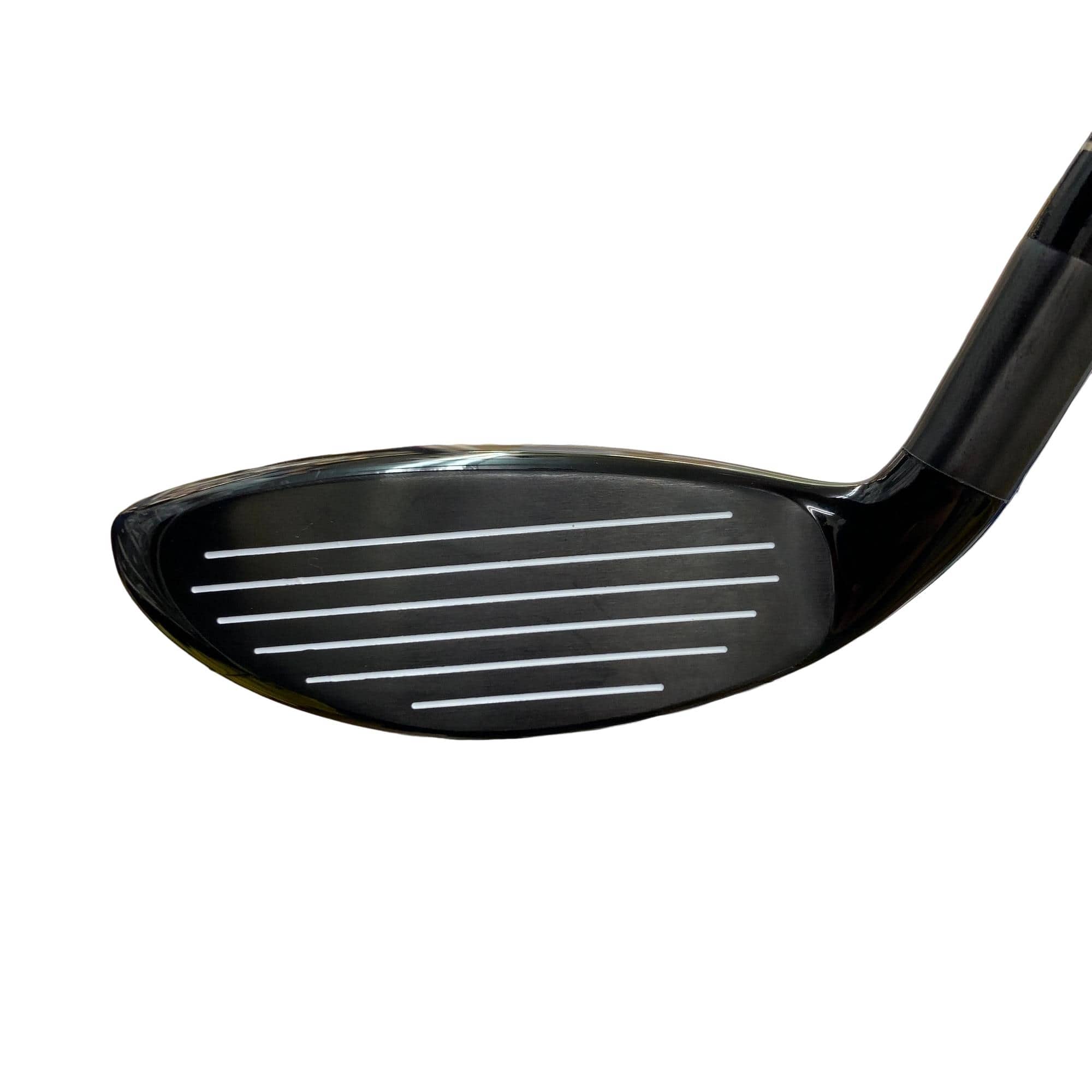 �w�@�g�n�s�@�t�R