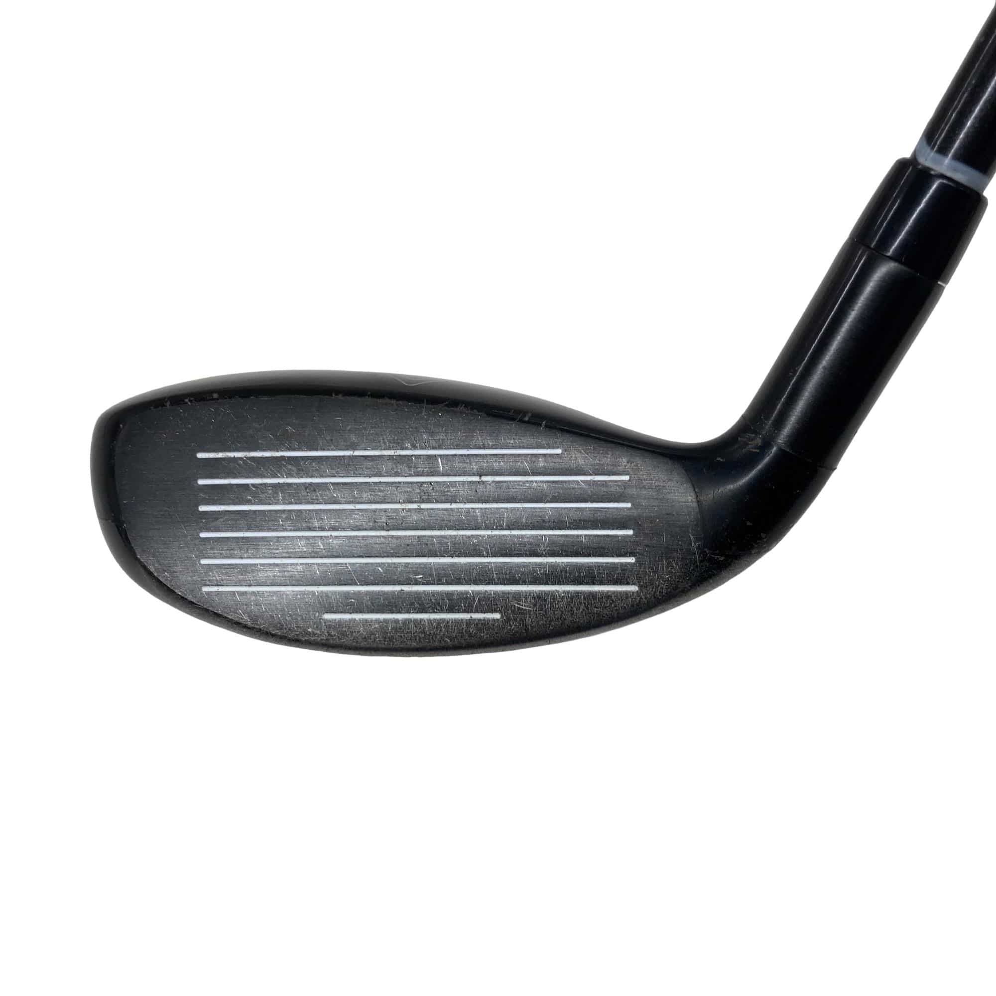 �w�Q�@�g�n�s�@�t�S