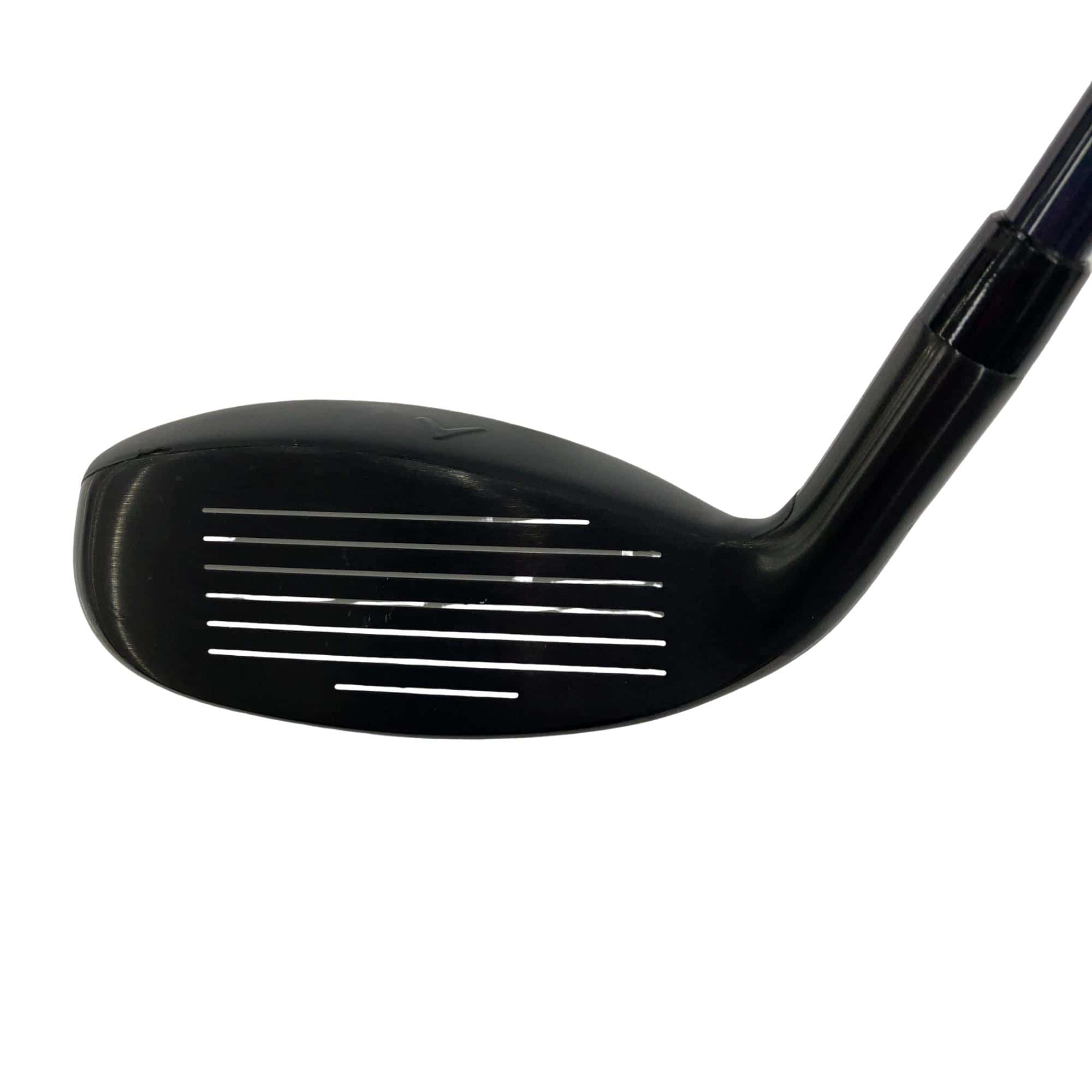 �w�q�@�P�U�@�n�r�@�t�T