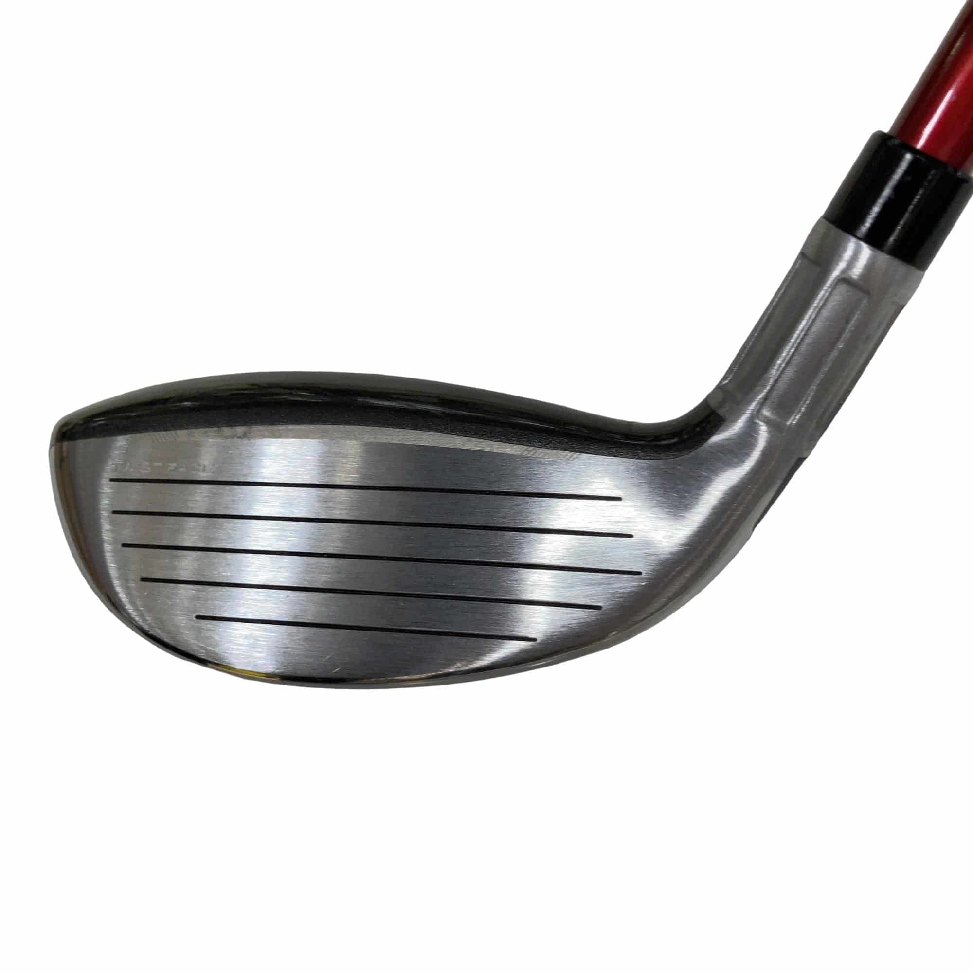 �r�s�d�`�k�s�g�@�t�T�@���f�B�[�X