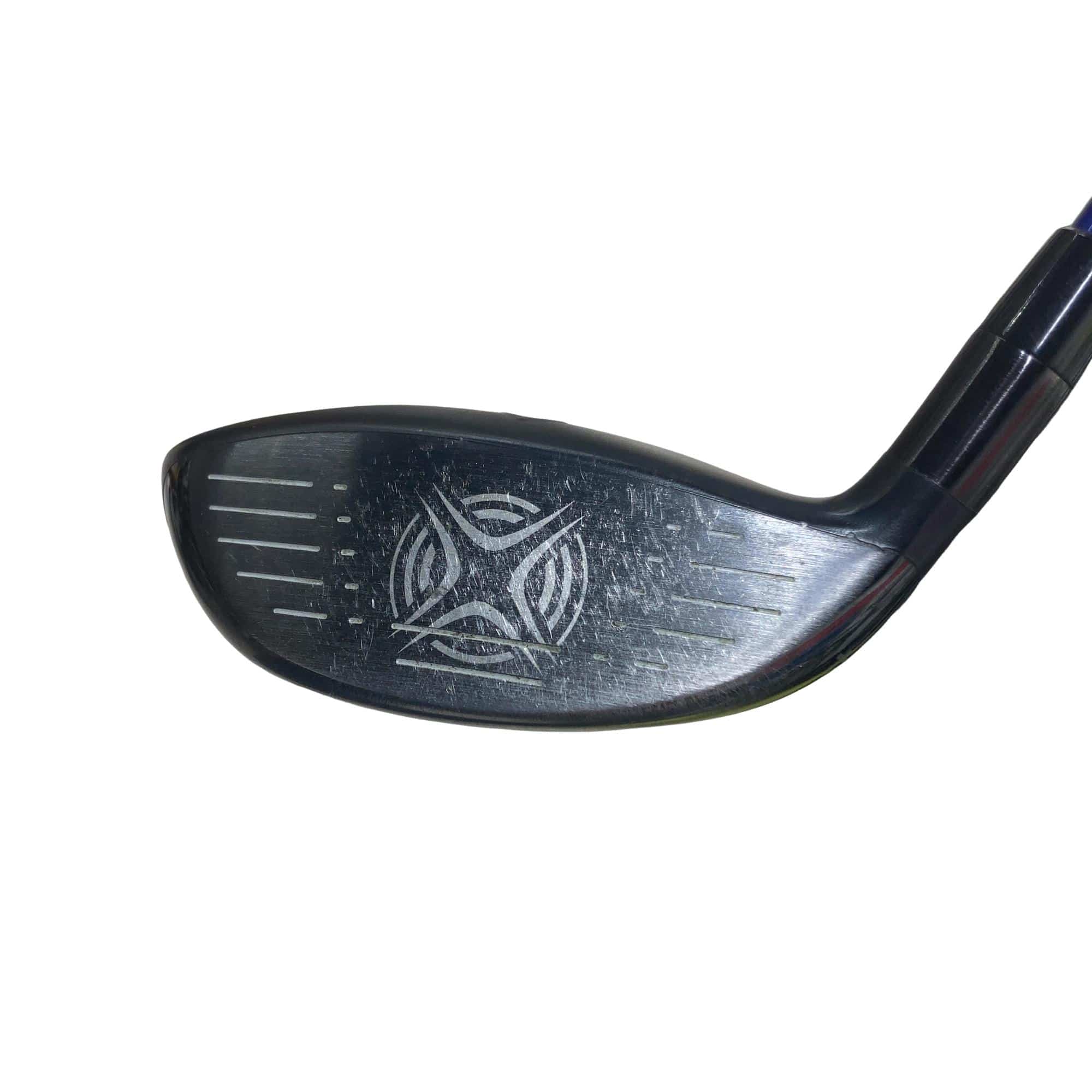 �w�q�@�P�U�@�@�S�v�@���f�B�[�X