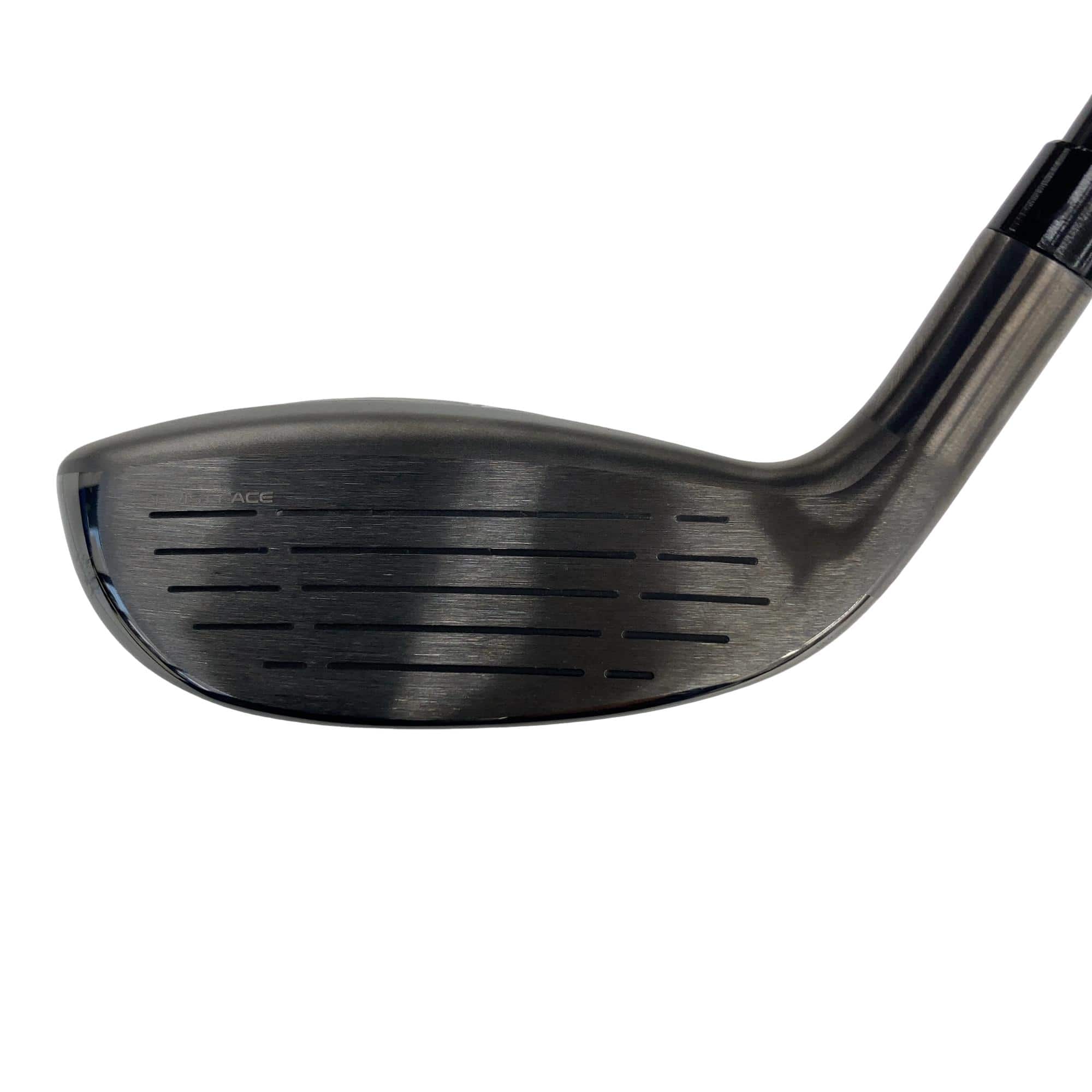 �p���R�T�@�l�`�w�@�t�S