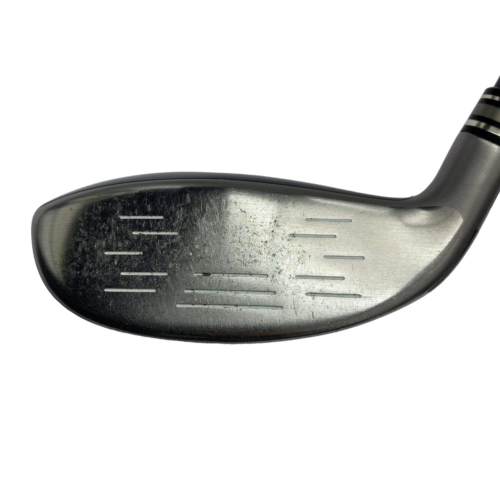 �w�w�h�n�i�Q�O�P�W�j�@�g�T