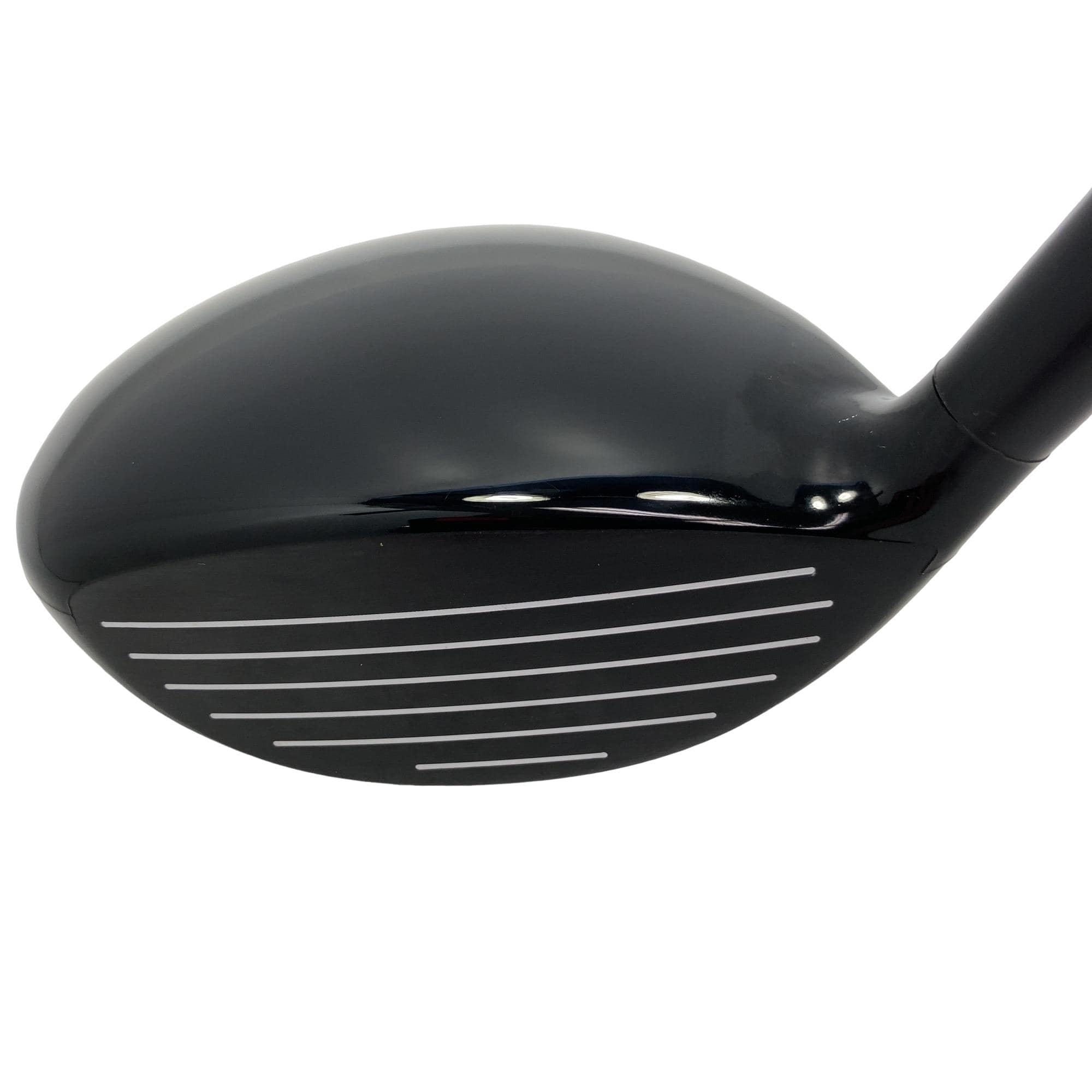 �w�@�g�n�s�@�o�q�n�@�P�T°