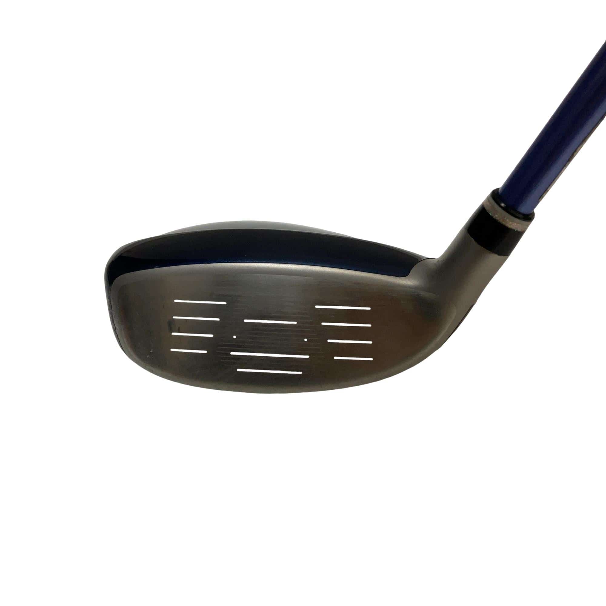 �w�w�h�n�i�Q�O�Q�O�j�@�g�U�@���f�B�[�X