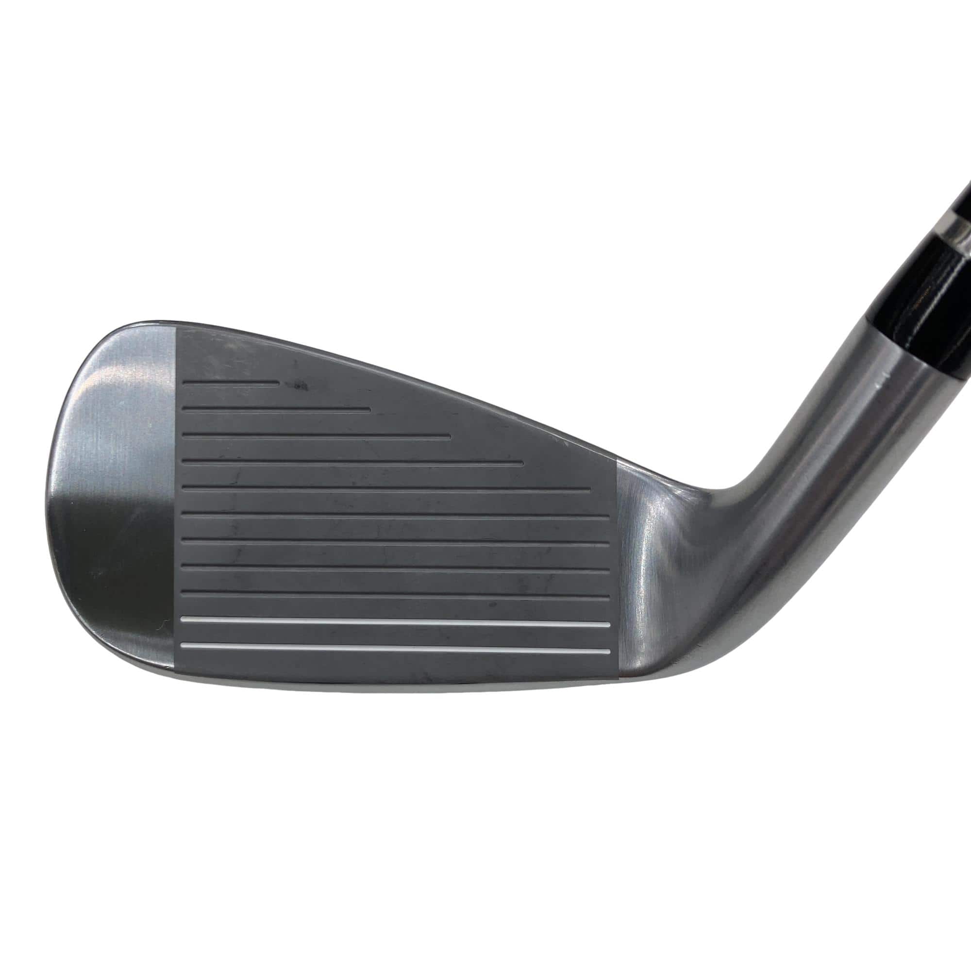 �������������@�t�c�{�Q�@�U�r�i���{���F�T�{�Z�b�g�j