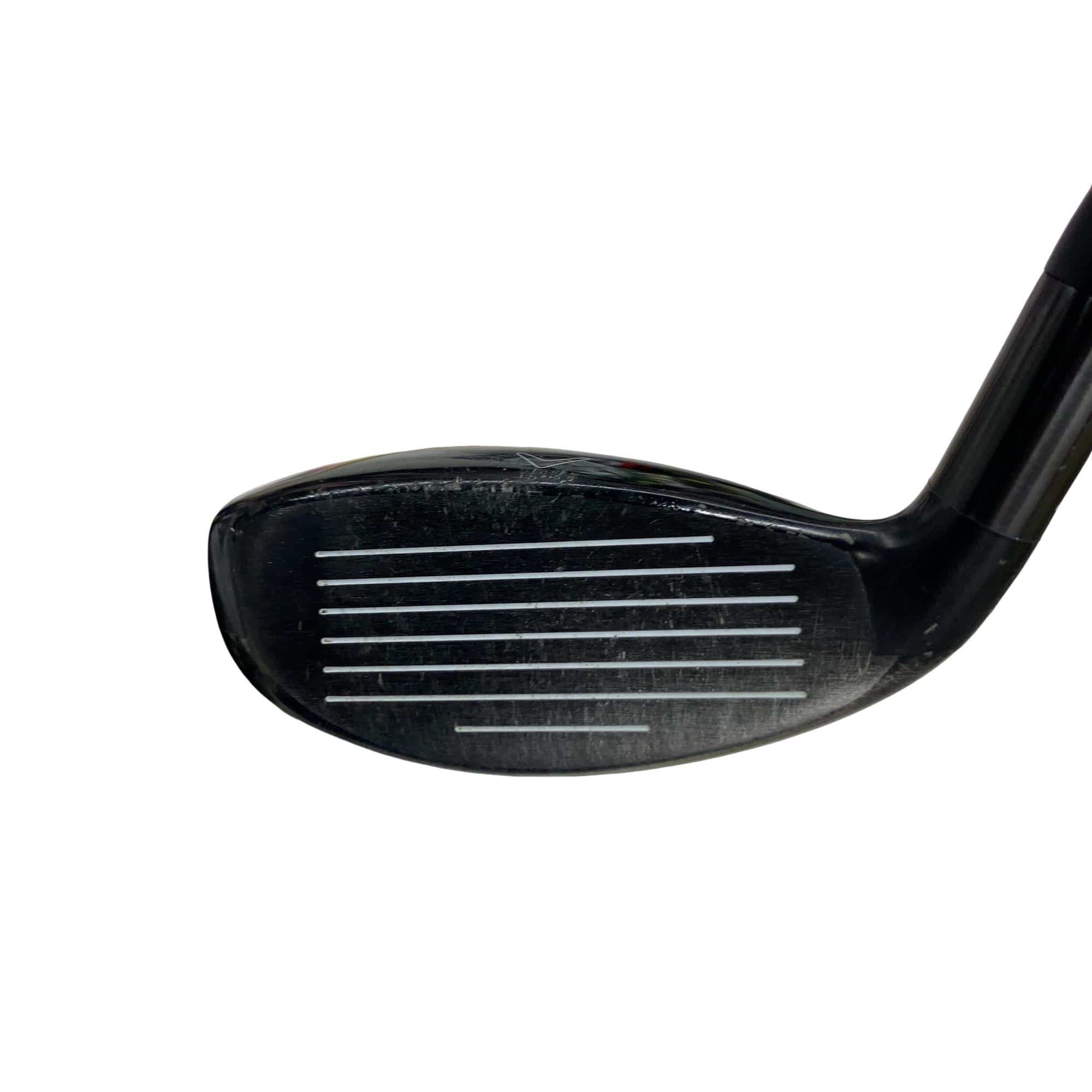 �w�Q�@�g�n�s�@�t�S