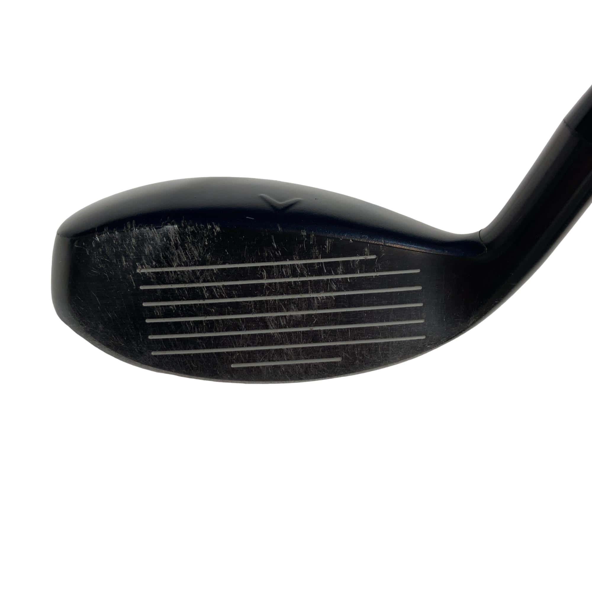 �w�q�@�t�T