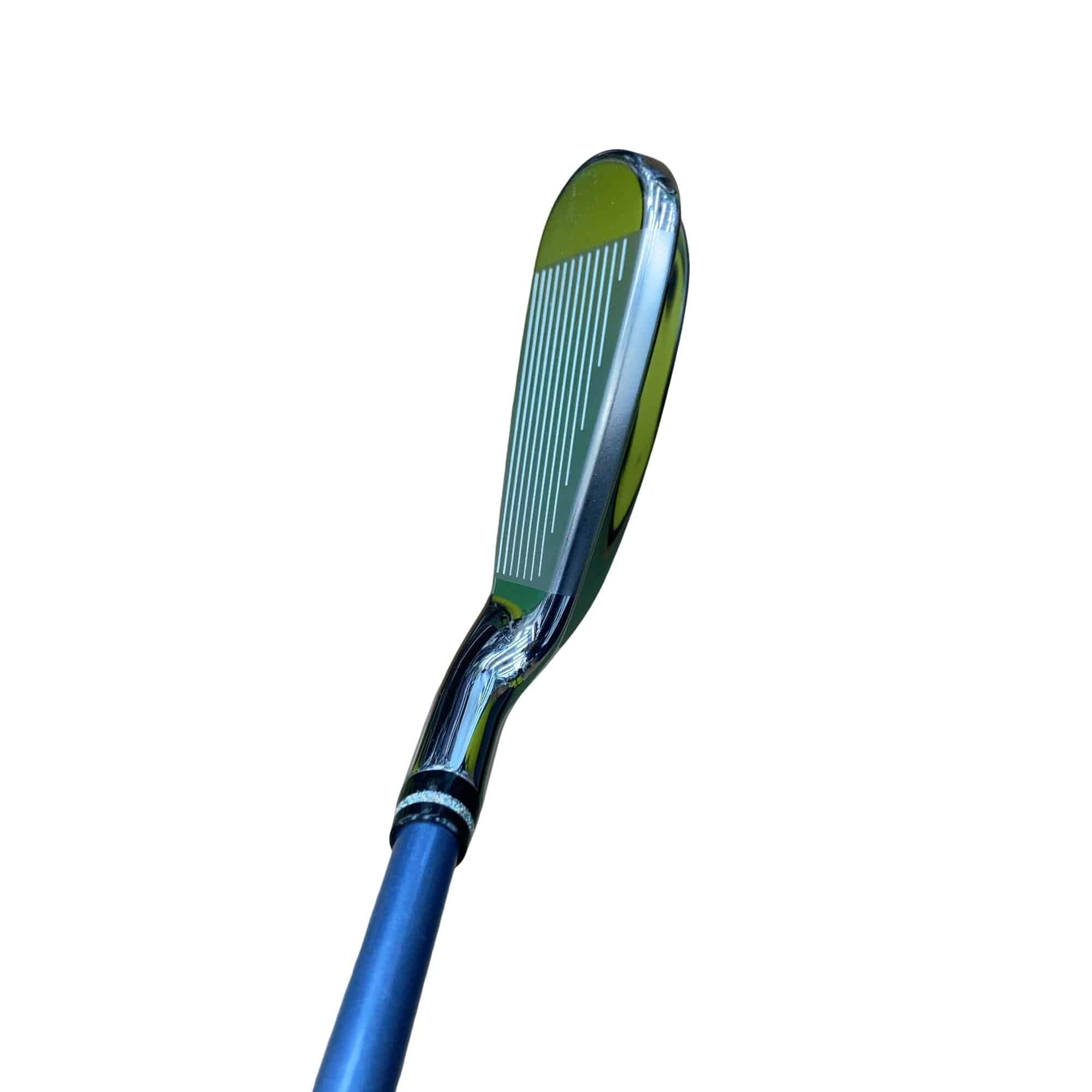 �������������@�t�c�{�Q�@���U�@���f�B�[�X