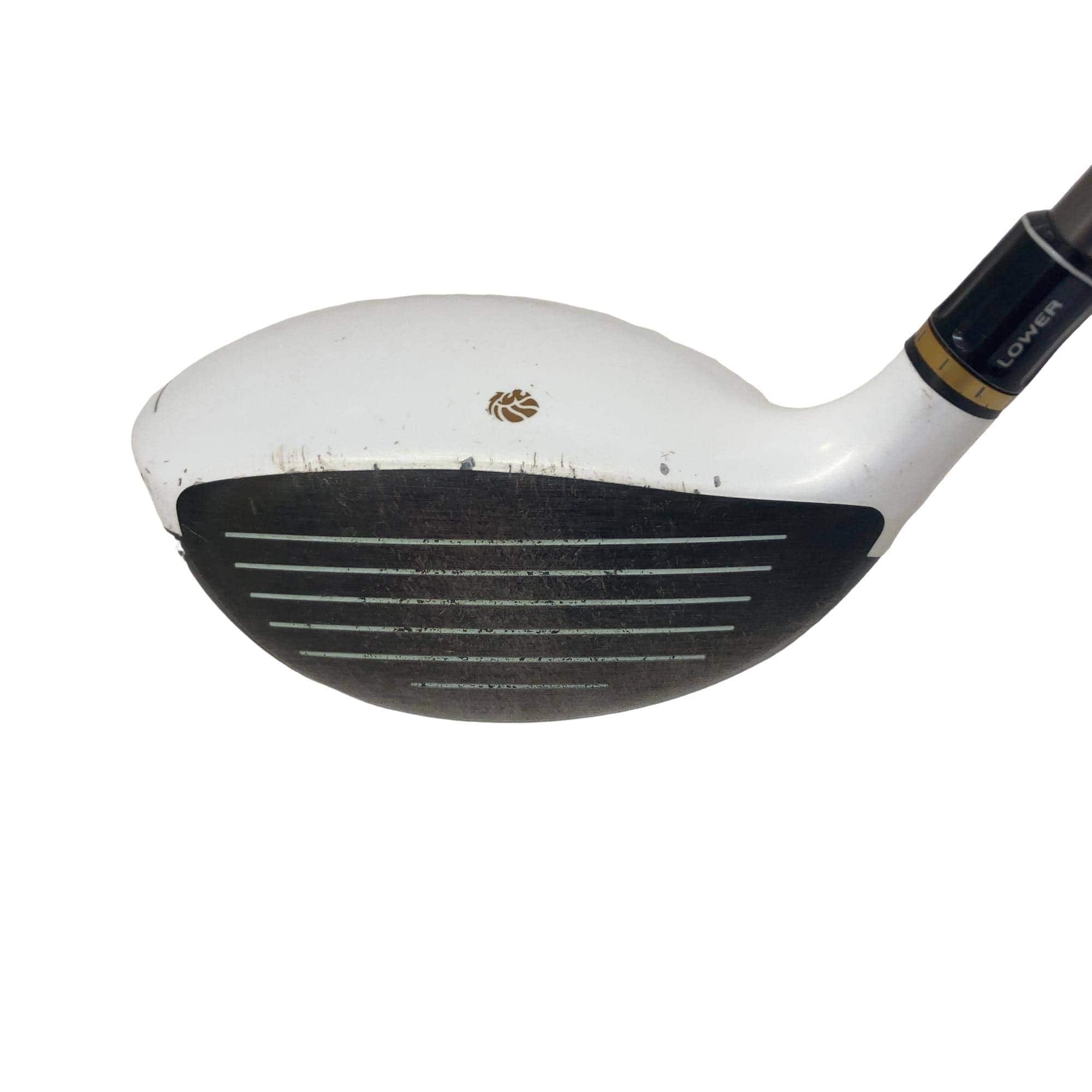 �f�k�n�h�q�d�@�R�v