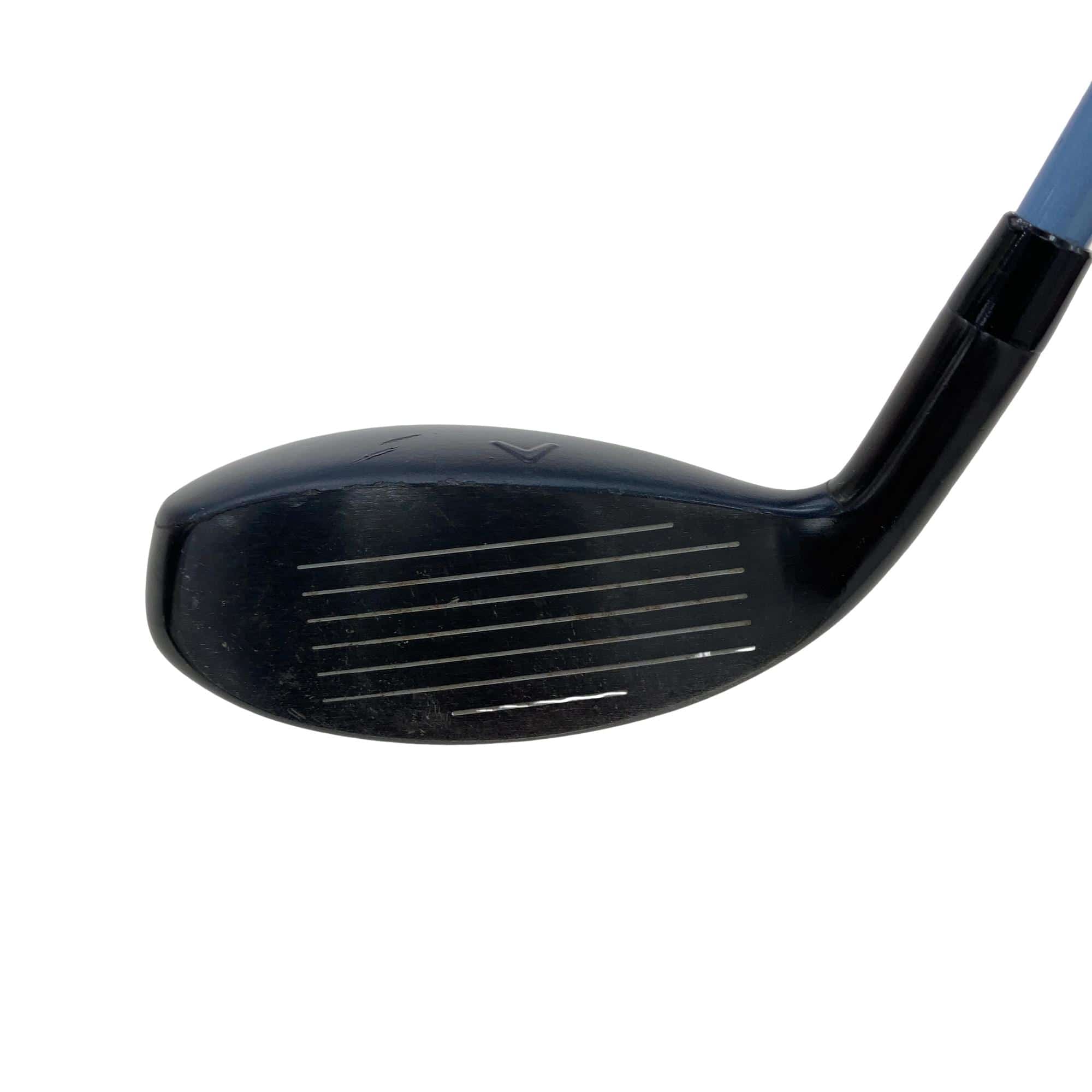 �w�q�@�t�T�@���f�B�[�X