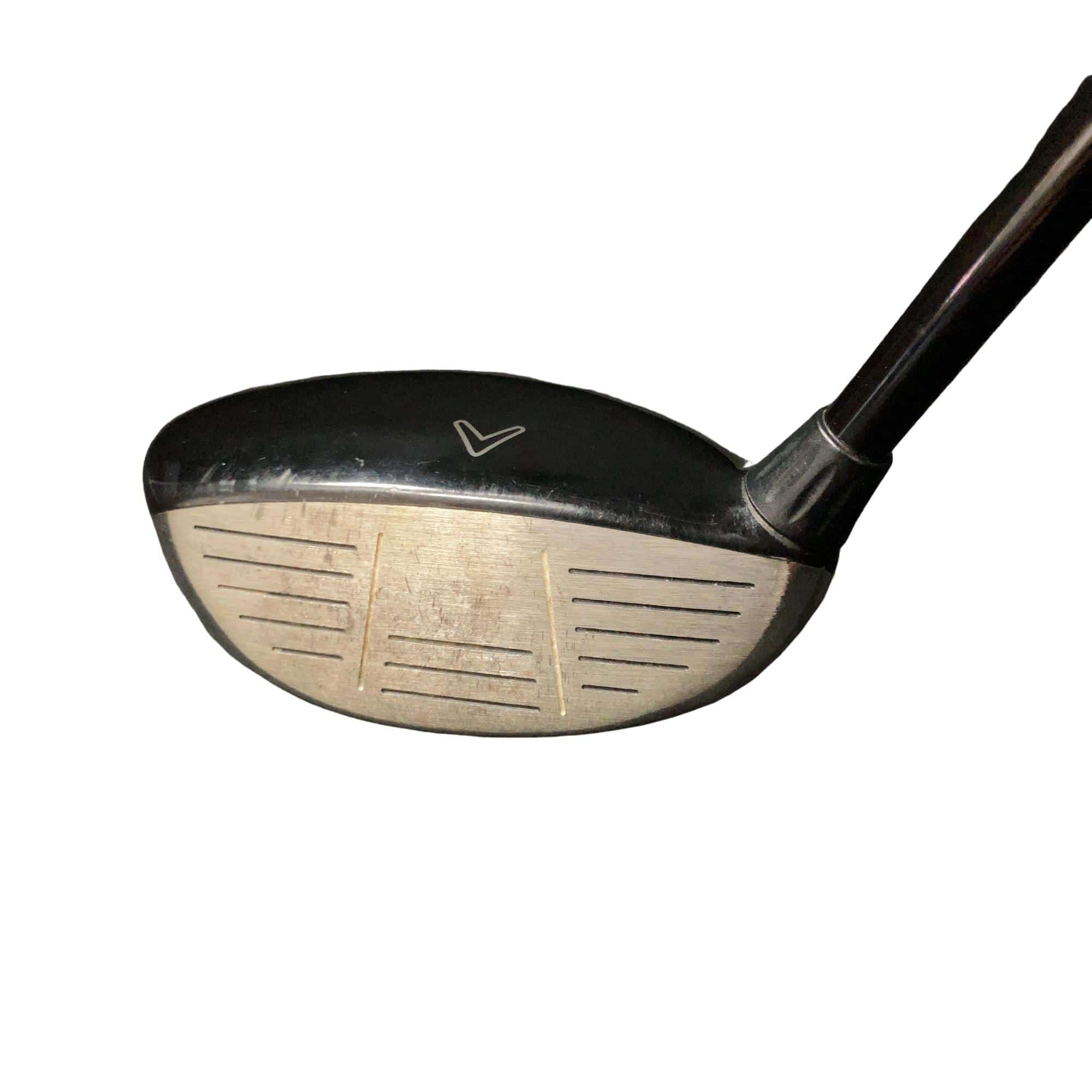 �w�@���[�e�B���e�B�@�R�g�@�t�r�`