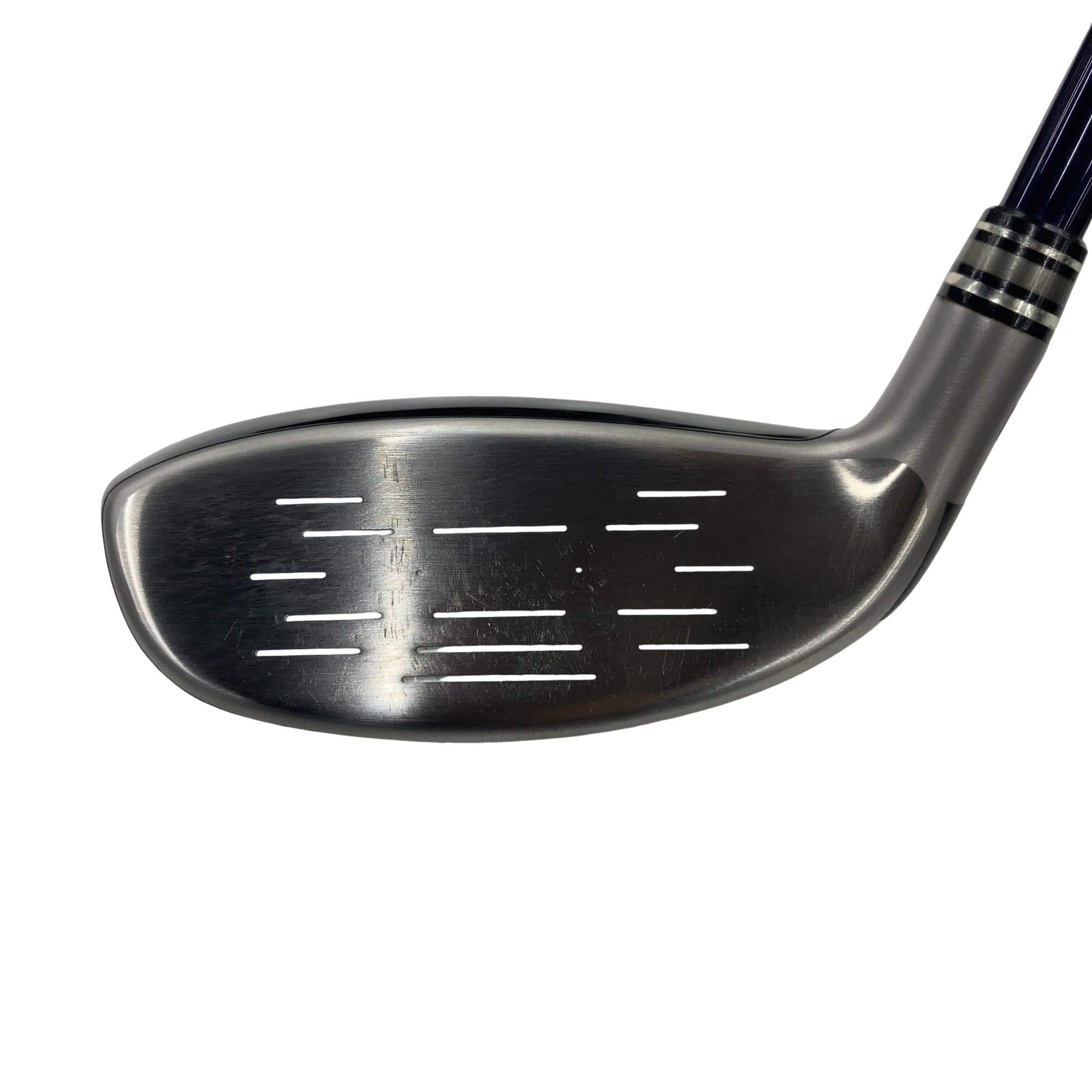 �w�w�h�n�i�Q�O�P�W�j�@�g�U