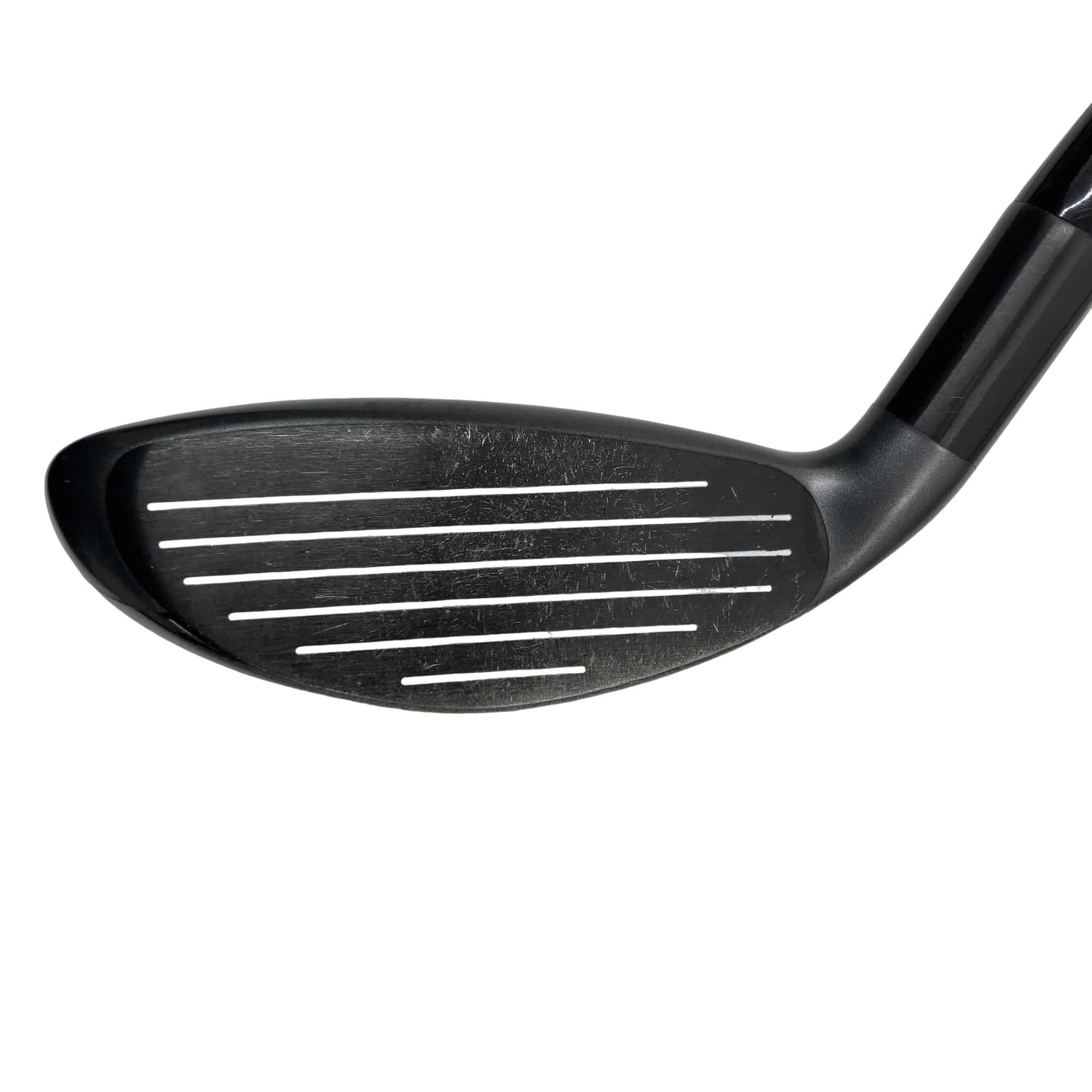 �w�@�g�n�s�@�o�q�n�@�P�W°�@�t�r�`