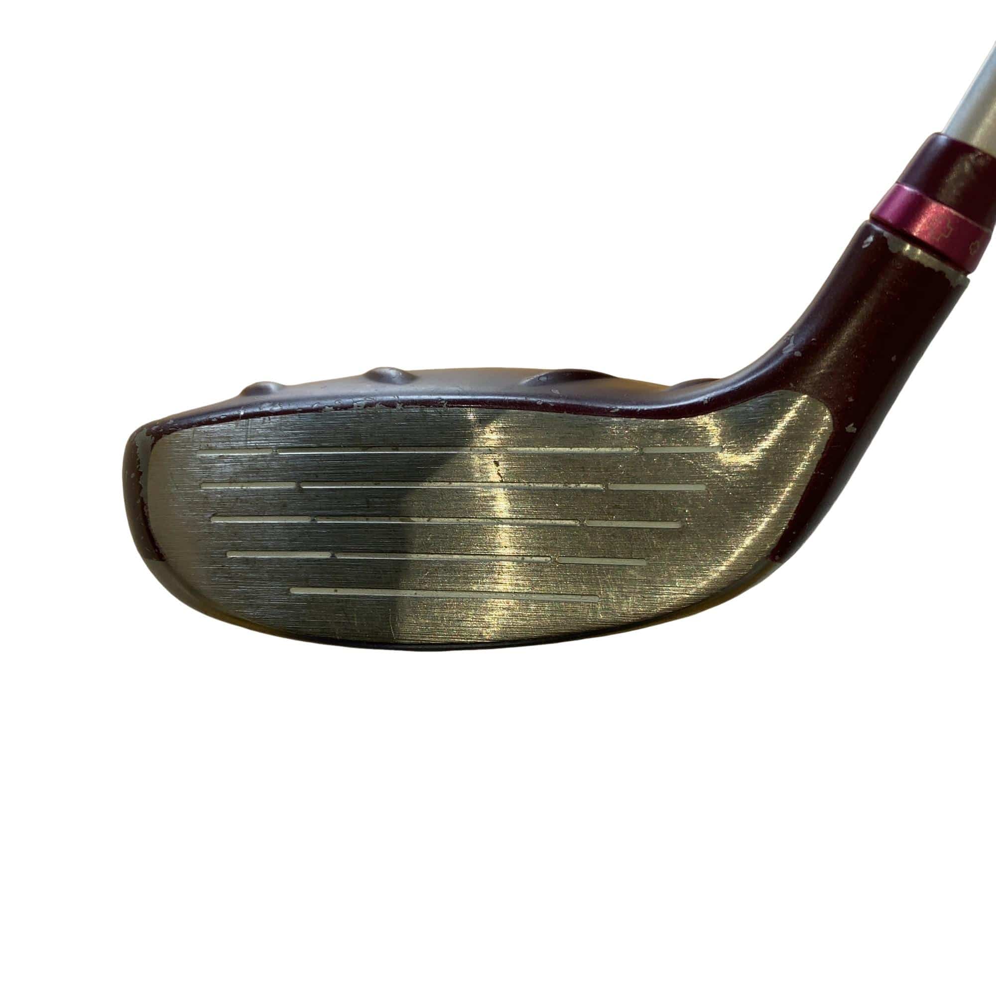 �f�@�k���Q�@�V�v�@���f�B�[�X