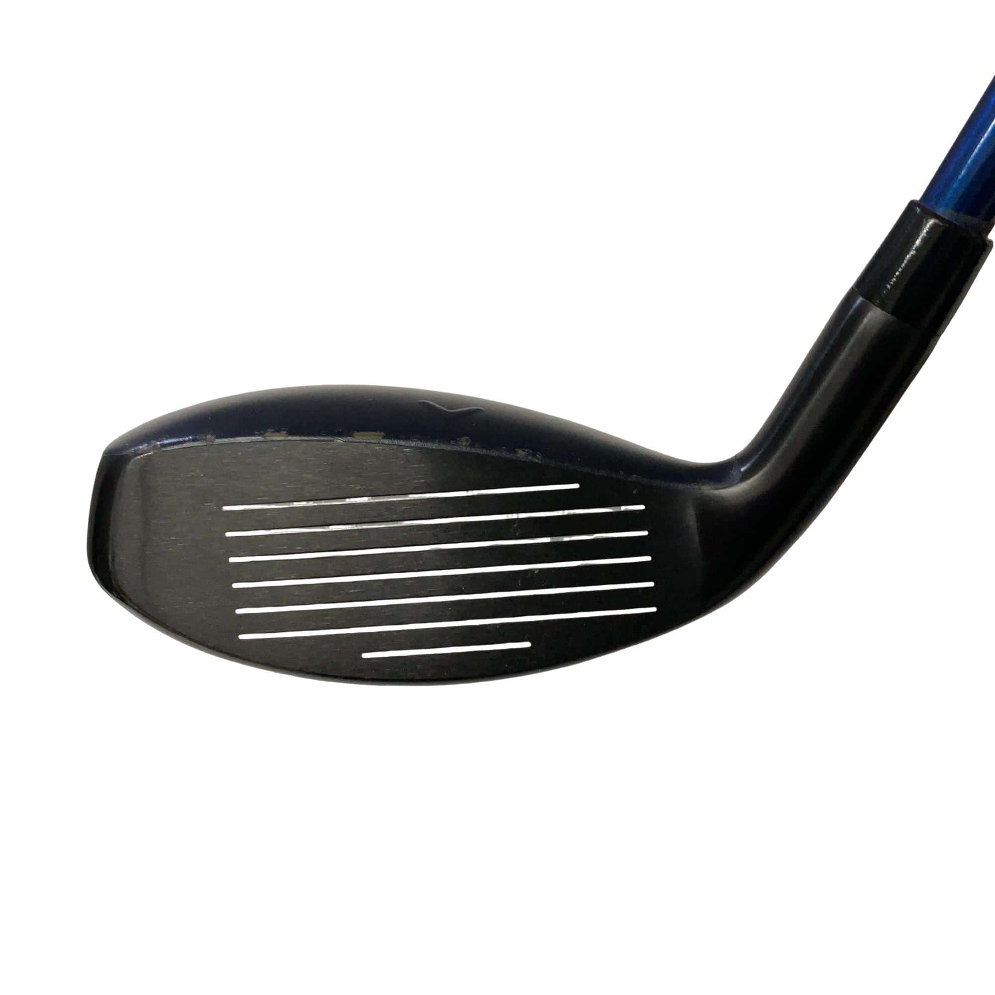 �w�q�@�t�T