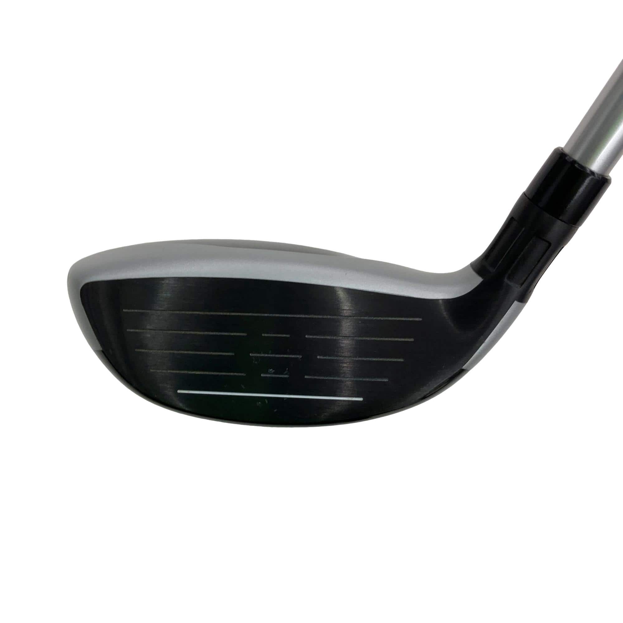 �l�S�i�Q�O�Q�P�j�@�t�T�@���f�B�[�X