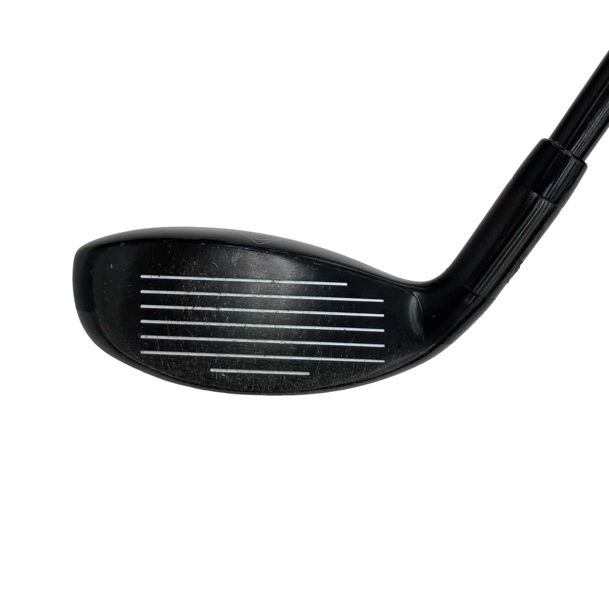 �w�Q�@�g�n�s�@�t�S