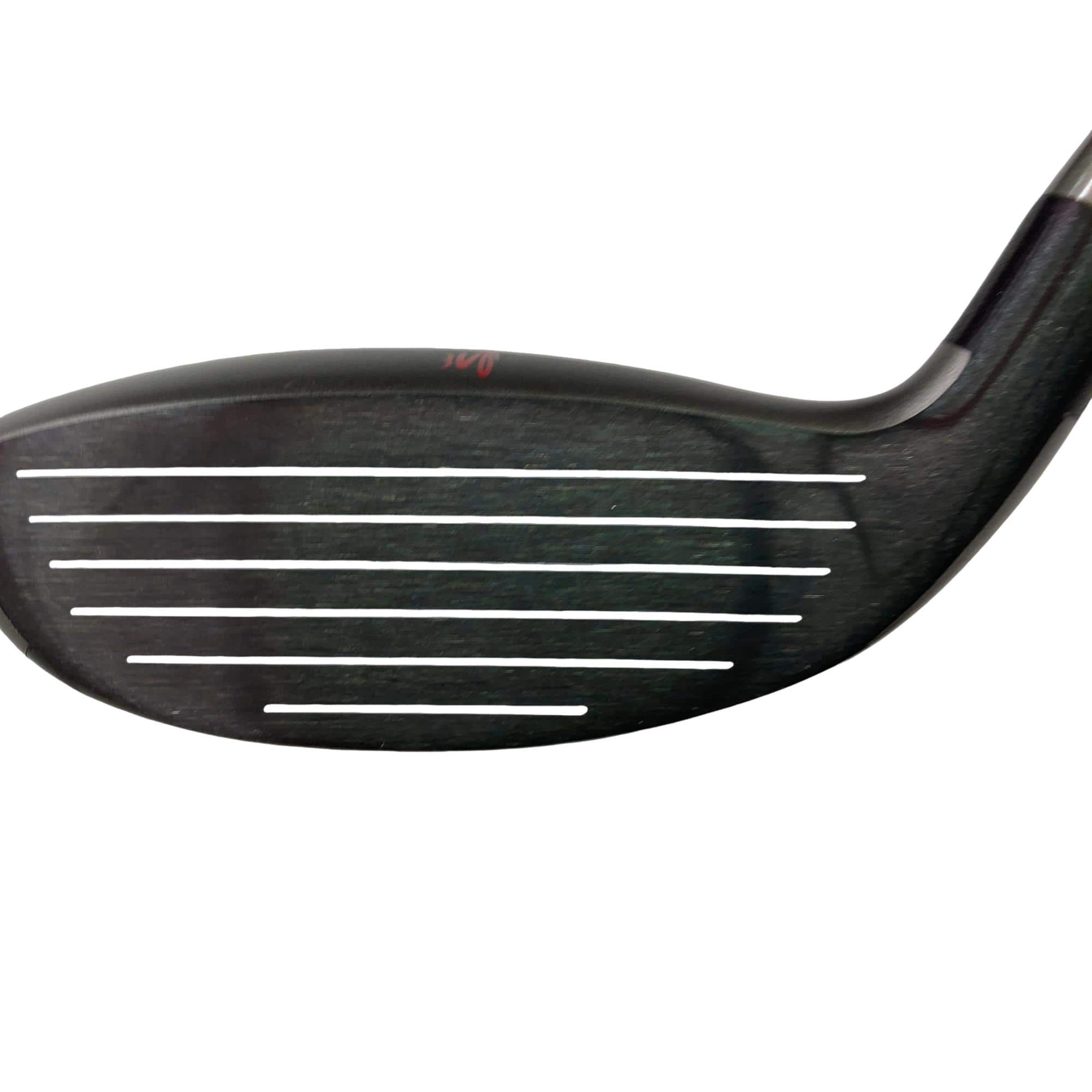 �a�������������@�s�|���������{�@�R�{�^�e�@�t�r�`