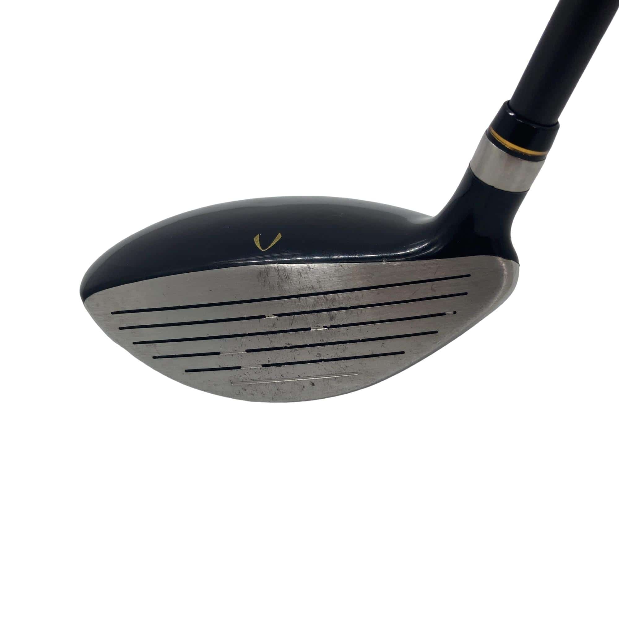 �j�Q�j�@���������O�X���[�e�B���e�B�@�t�T