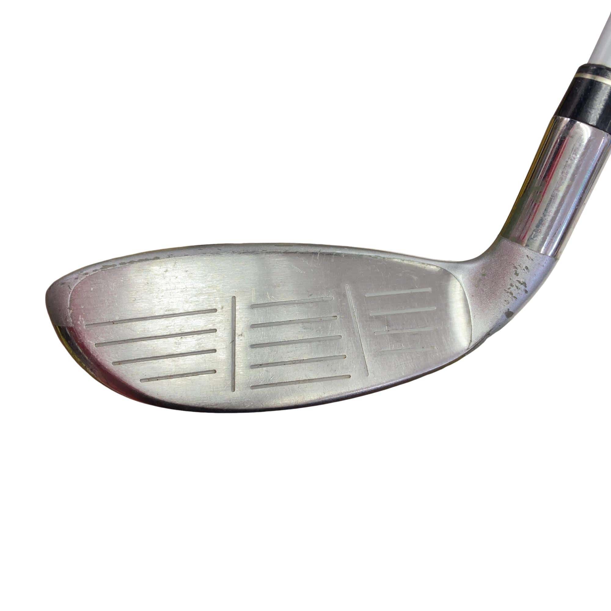 �����������@�U�g�@���f�B�[�X