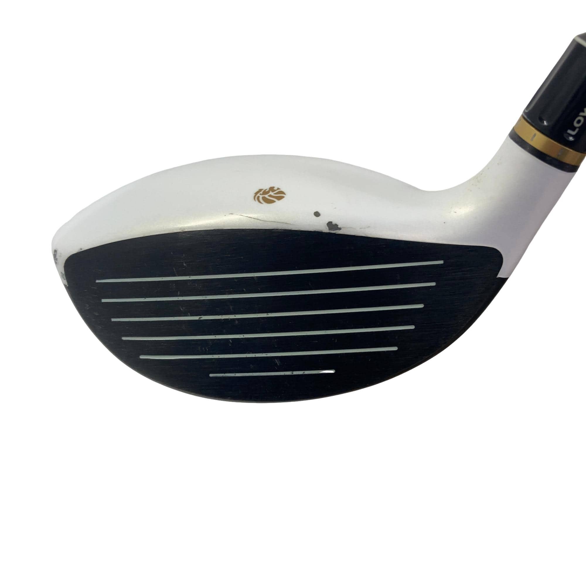 �f�k�n�h�q�d�@�T�v