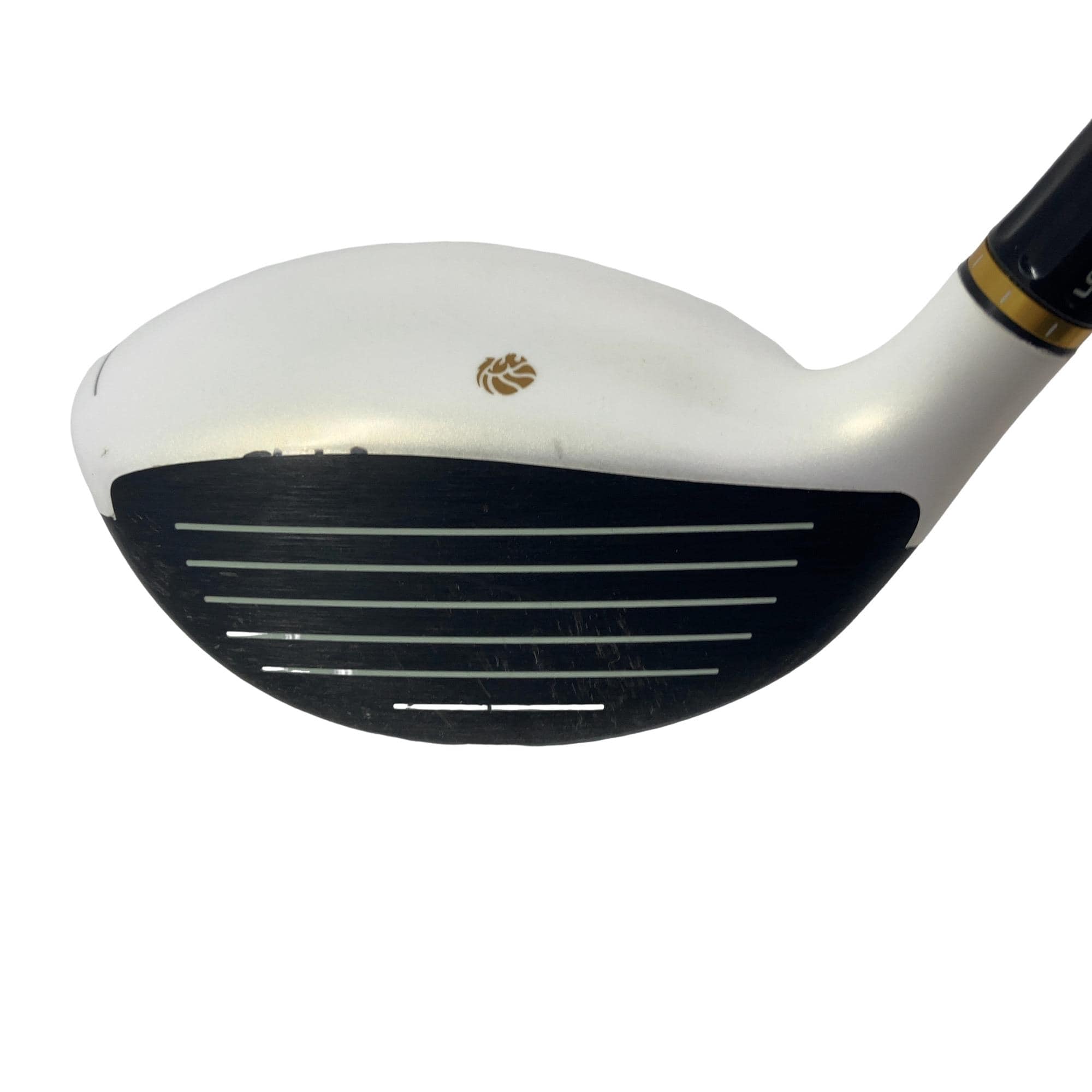 �f�k�n�h�q�d�@�V�v