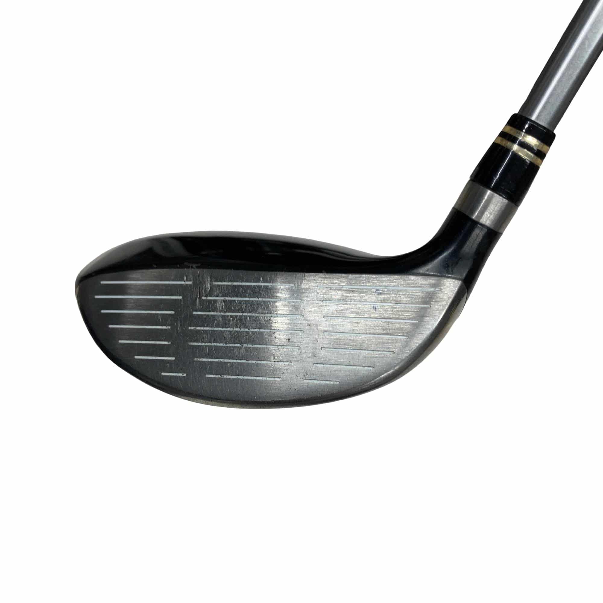 �q���������@�e�@�V���o�[�@�e�V