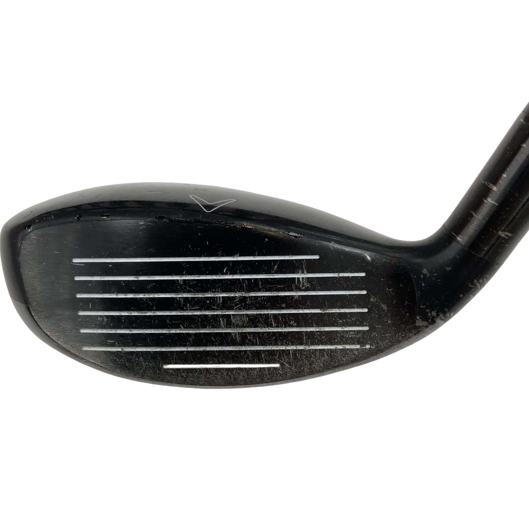 �w�Q�@�g�n�s�@�t�S