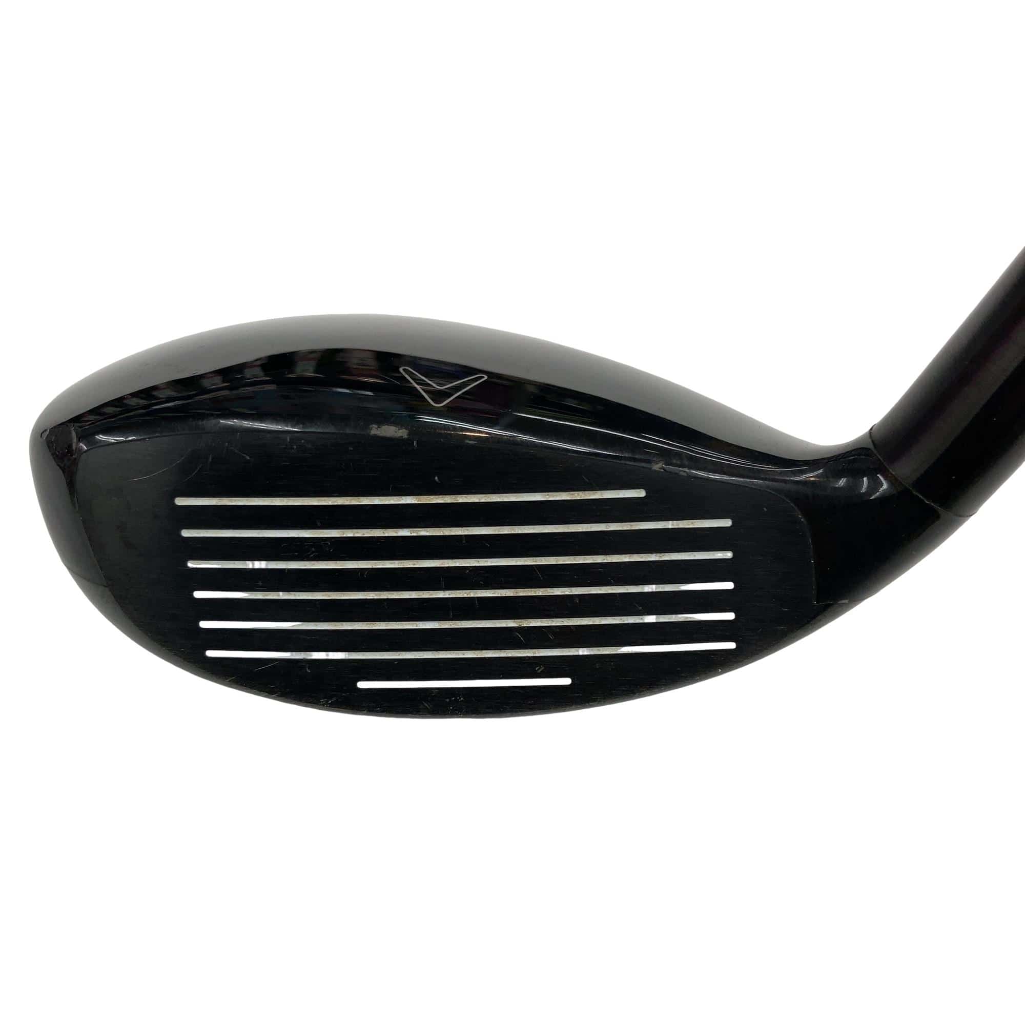 �w�Q�@�g�n�s�@�t�R