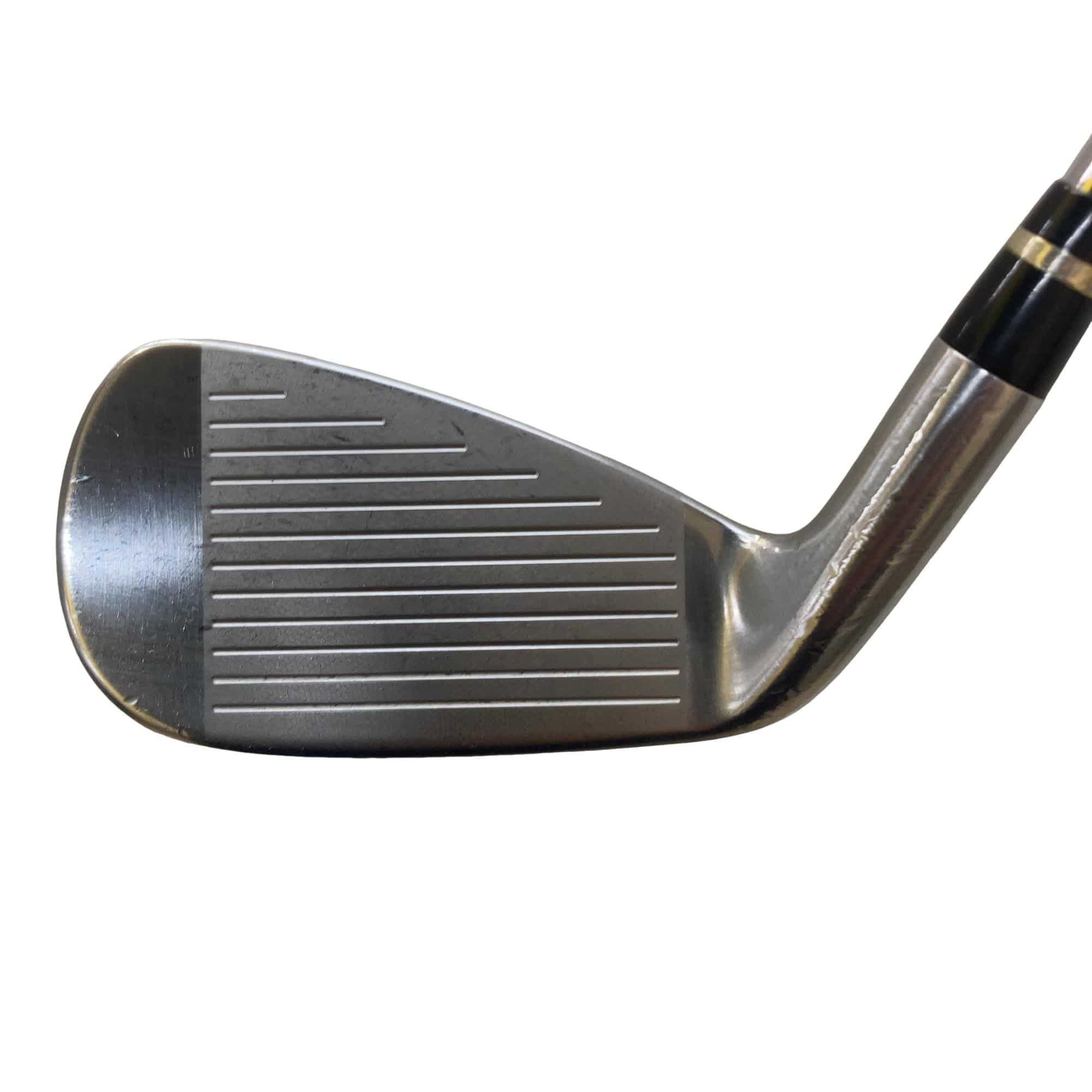 �������������@�q�l�w�@�t�c�{�Q�@�V�r�i���{���F�V�{�Z�b�g�j