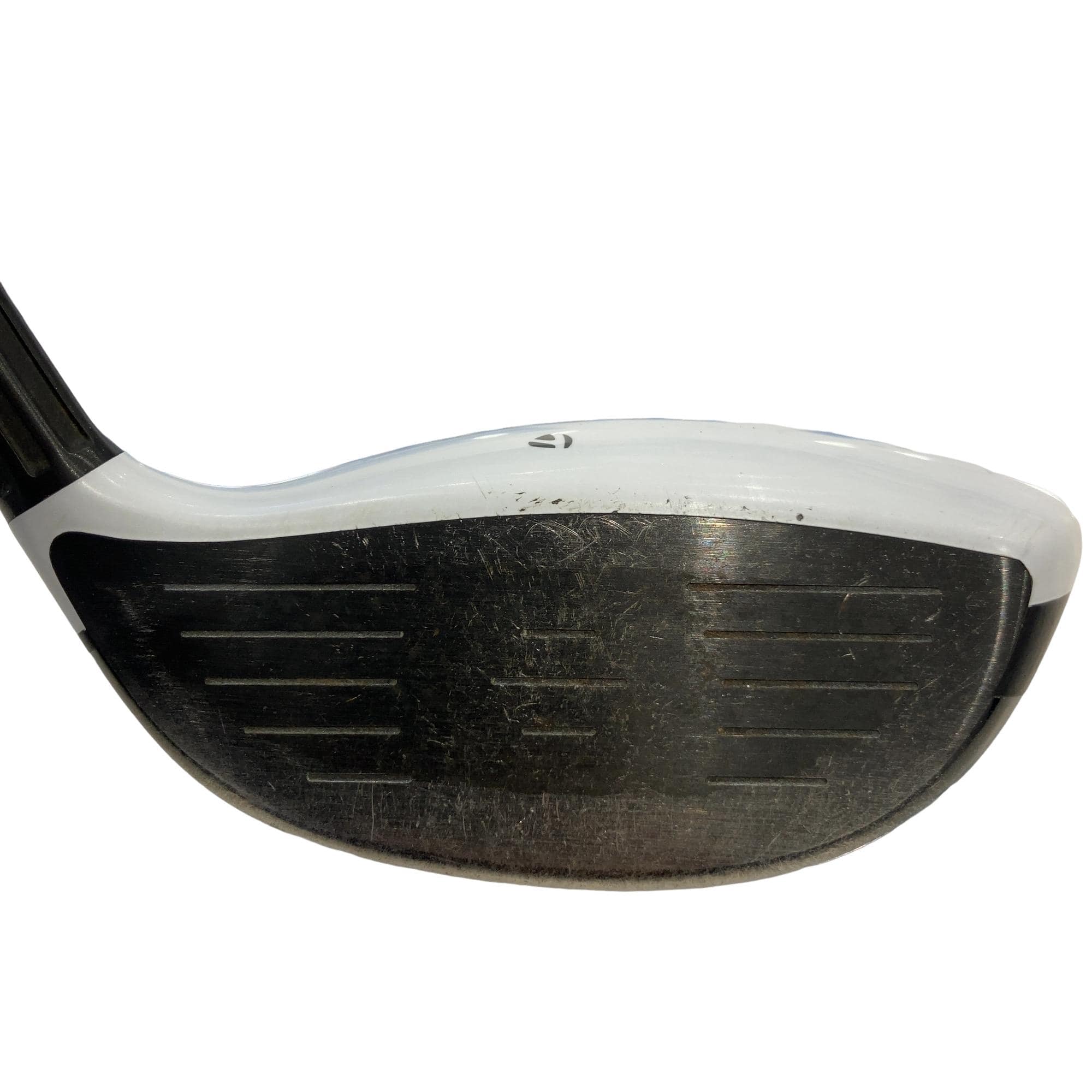 �l�Q�@�T�v�@���t�e�B