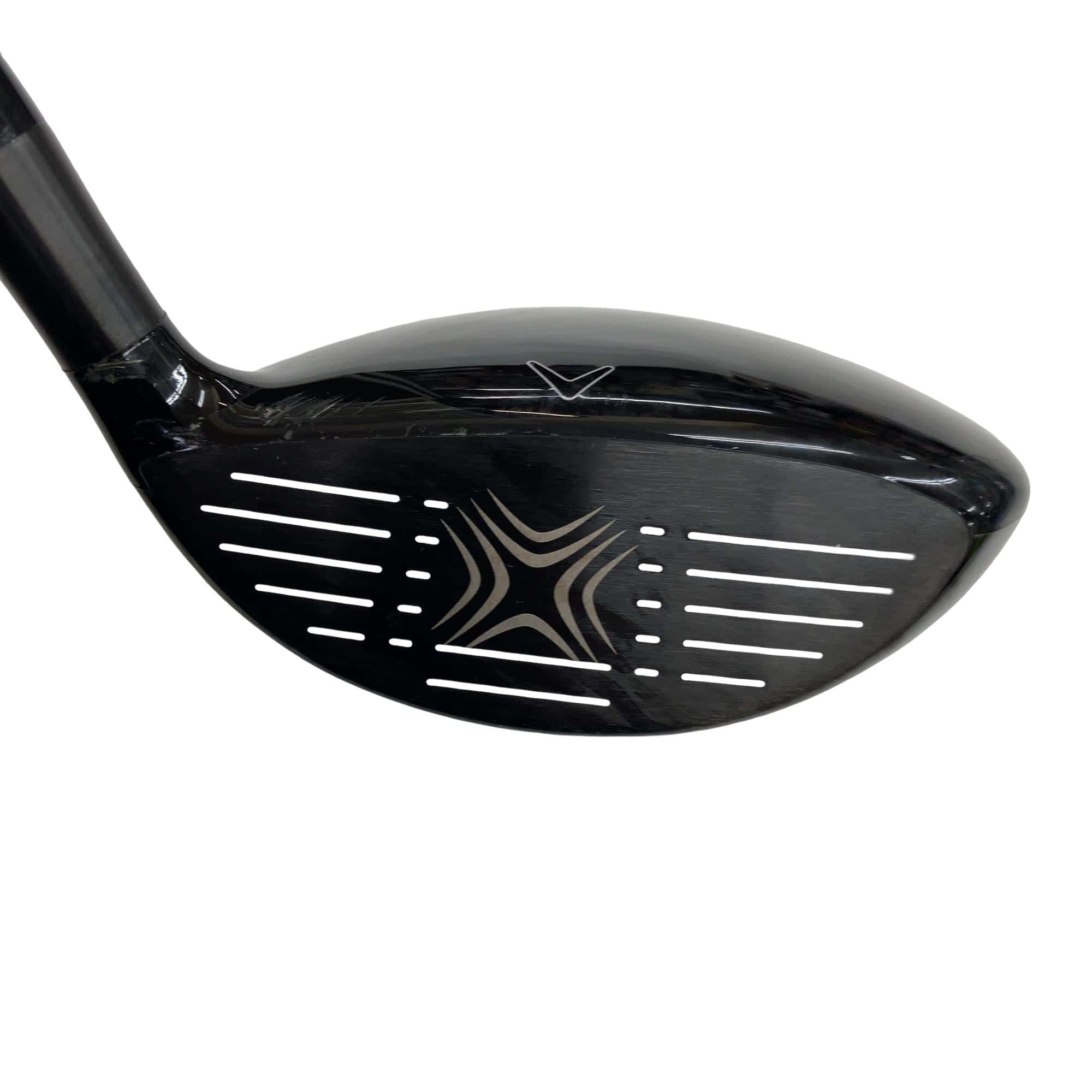 �w�Q�@�g�n�s�@�@�T�v�@���t�e�B