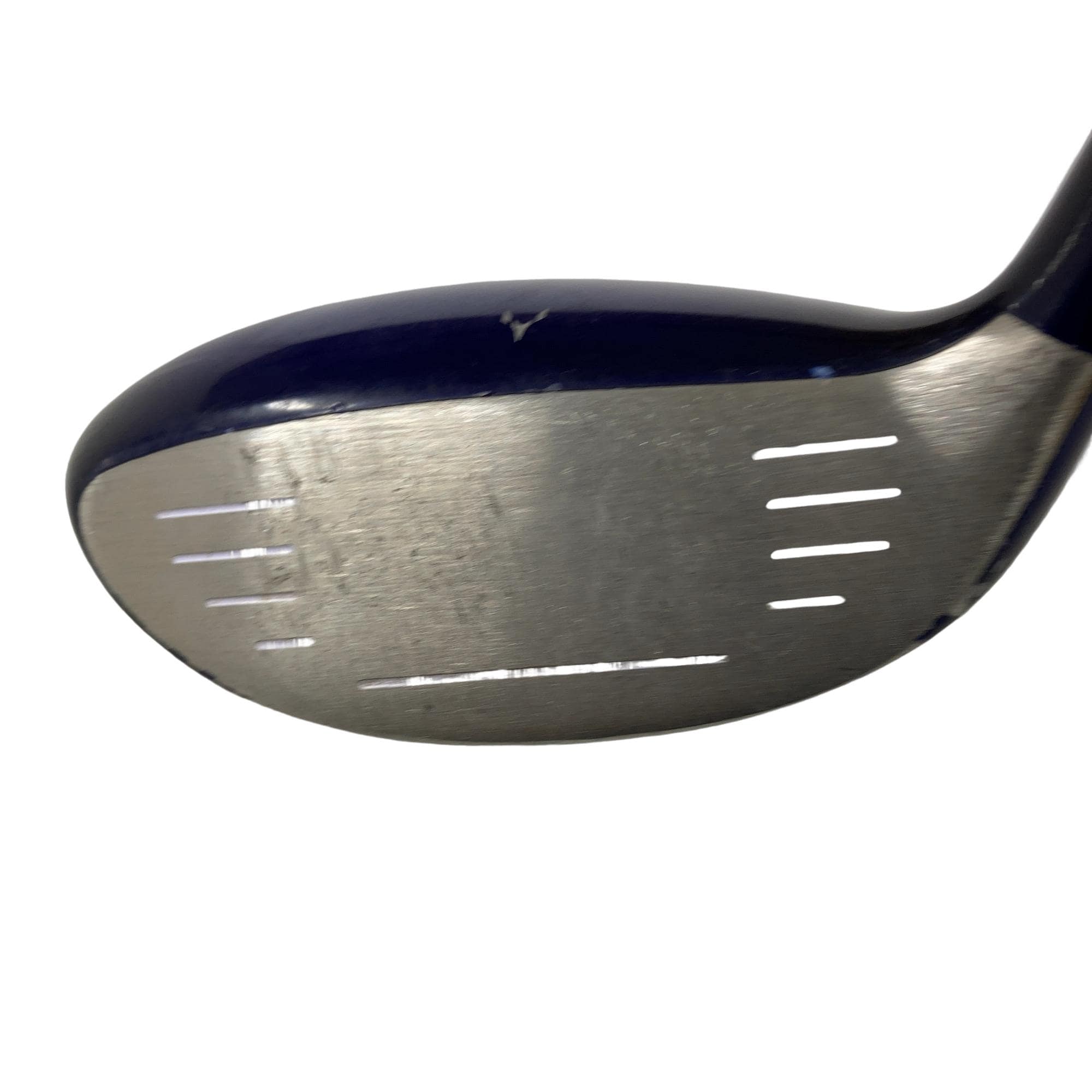 �������������@�t�c�{�Q�@�t�U�@���f�B�[�X