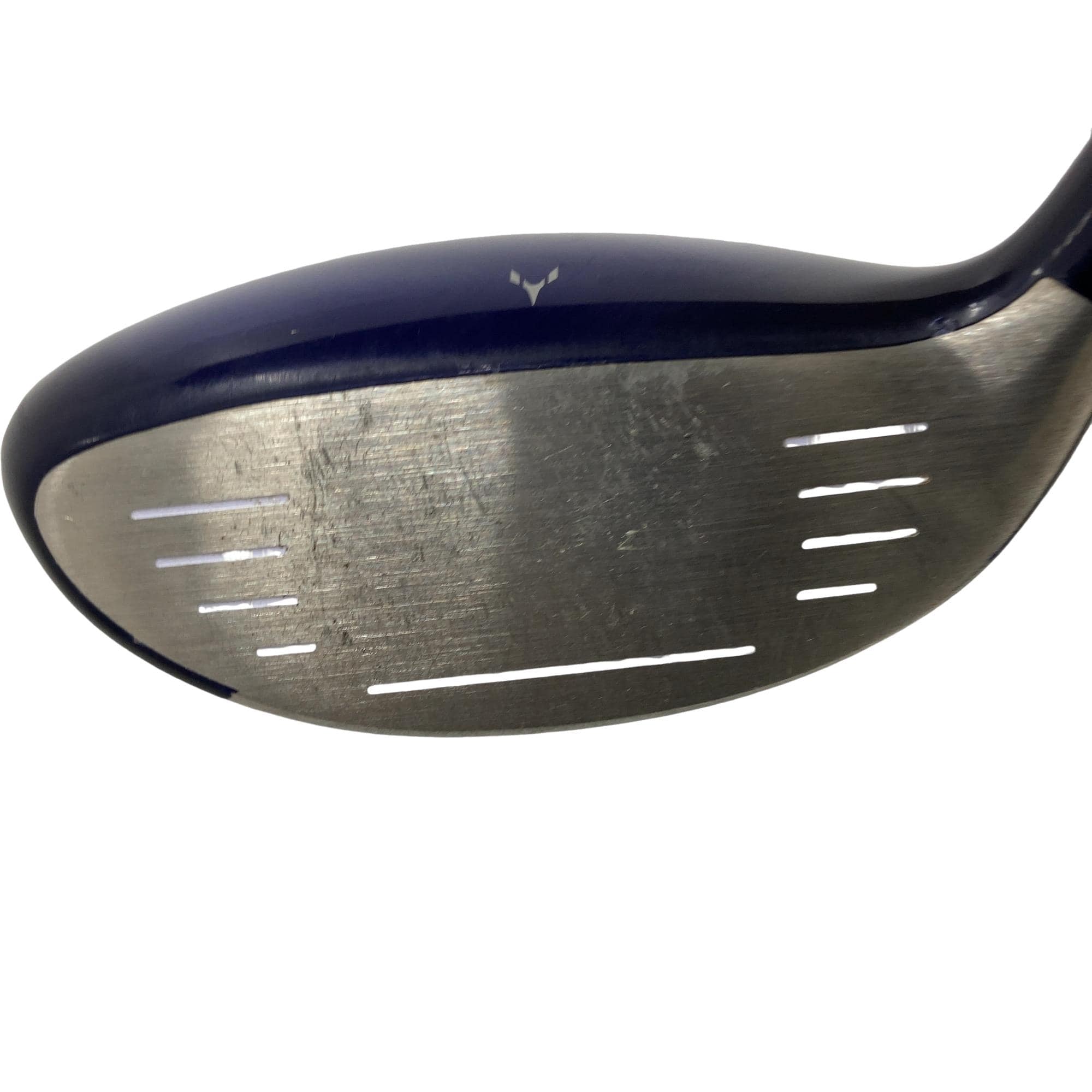 �������������@�t�c�{�Q�@�t�T�@���f�B�[�X