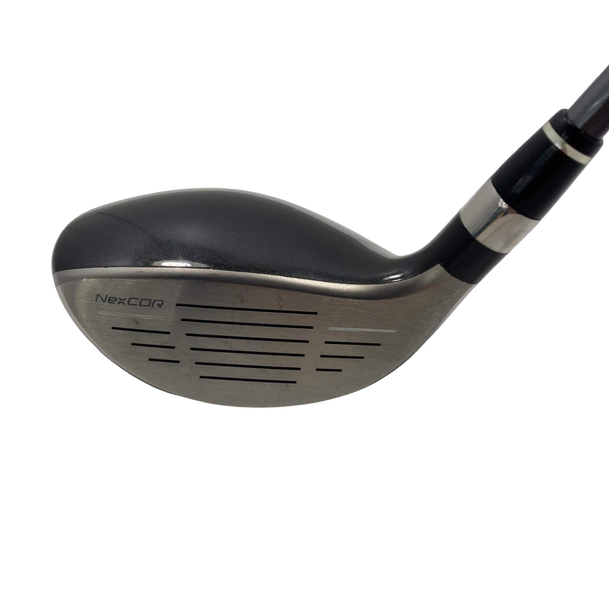 �u�q�Q�r�@���[�e�B���e�B�@�t�S