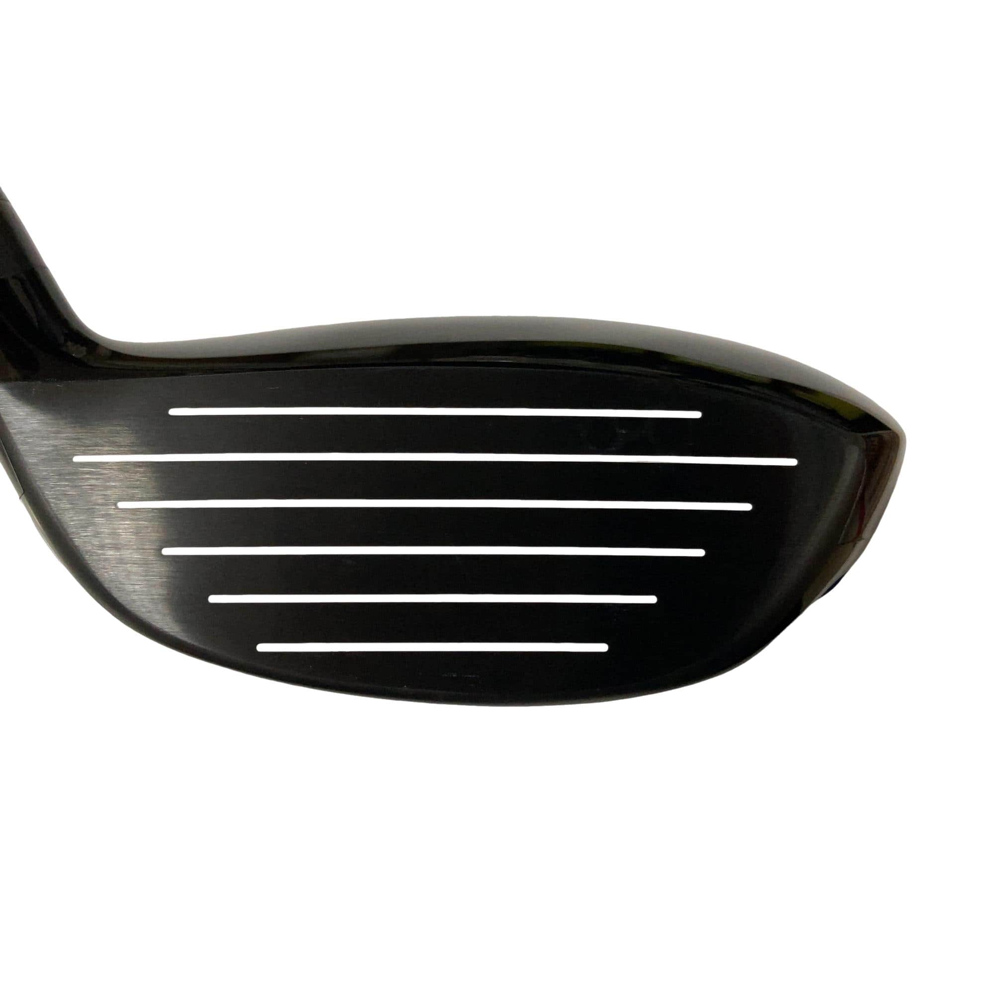 �l�����������@�o�����i�Q�O�P�X�j�@�R�v�@���t�e�B