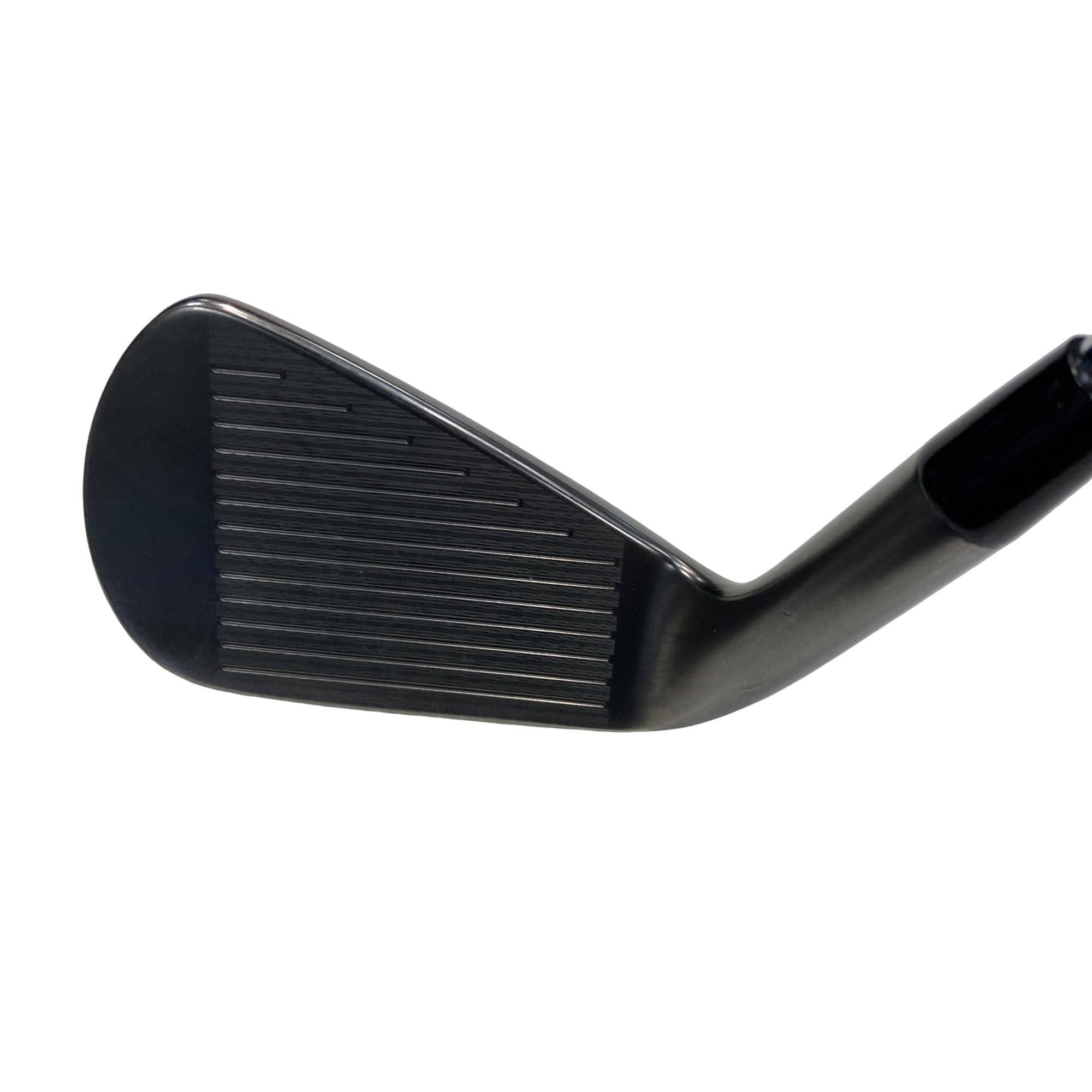 �r�q�h�w�n�m�@�y�w���T�@�u���b�N�@�U�r�i���{���F�U�{�Z�b�g�j