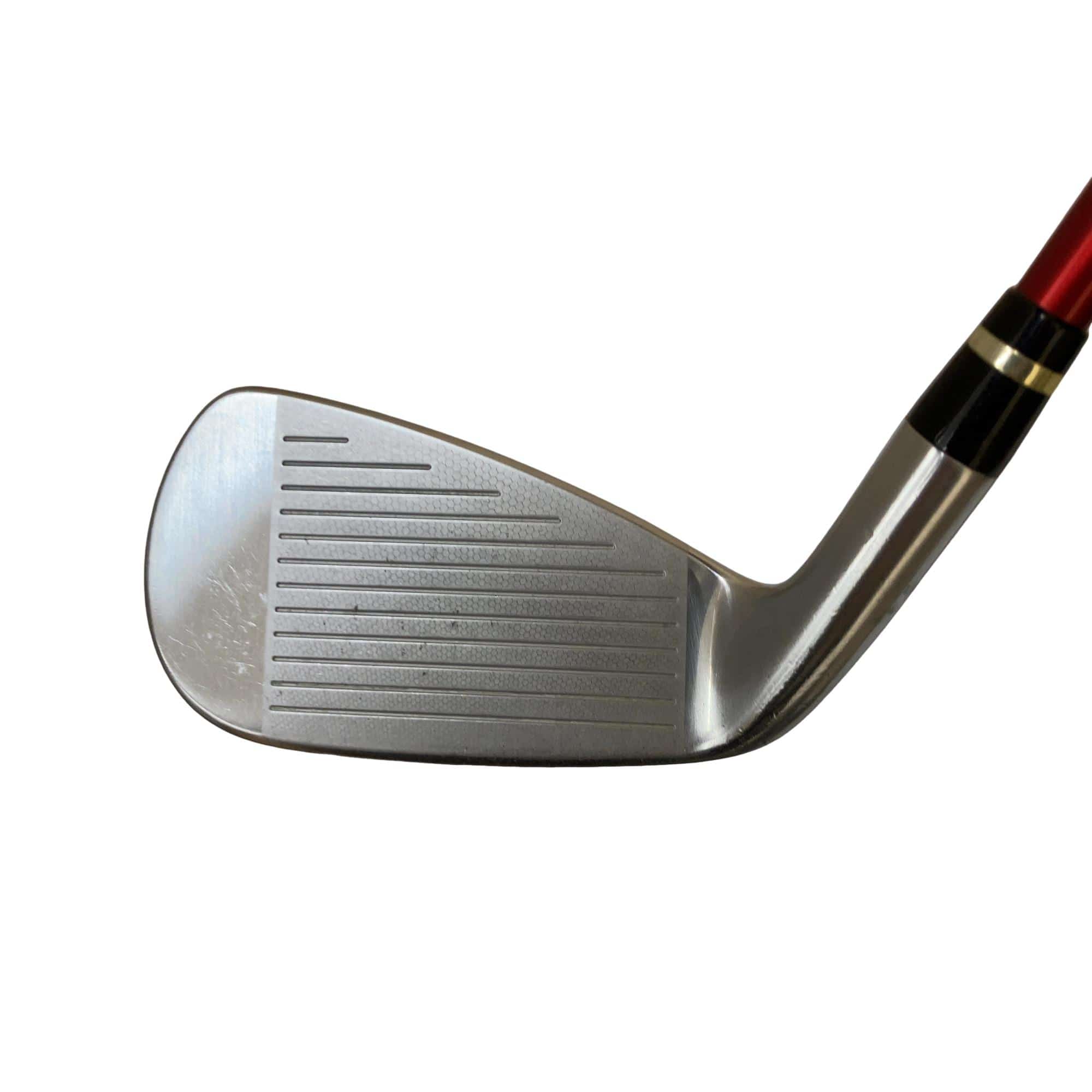 �������������@�q�l�w�@�t�c�{�Q�@�V�r�i���{���F�U�{�Z�b�g�j