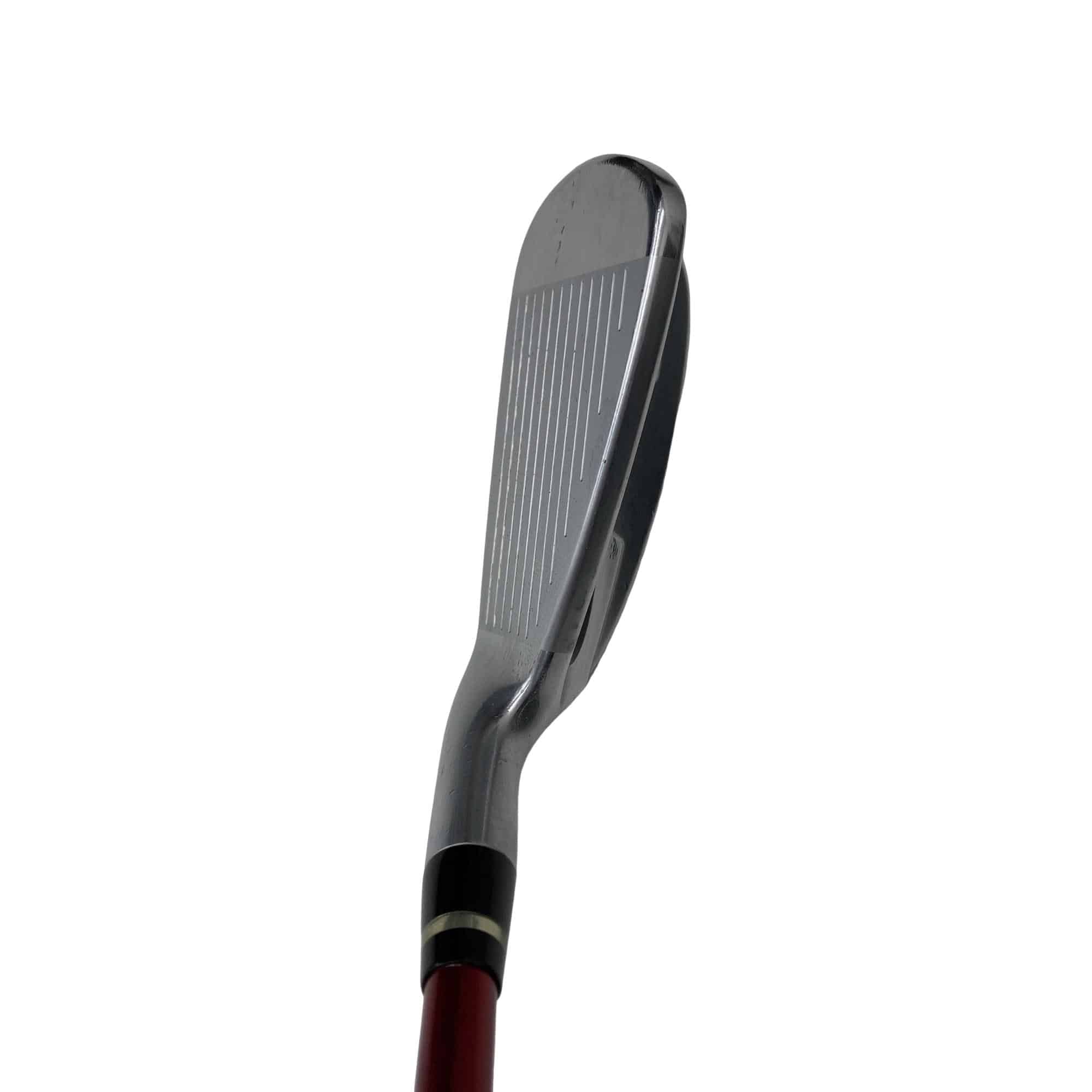 �������������@�q�l�w�@�t�c�{�Q�@���T