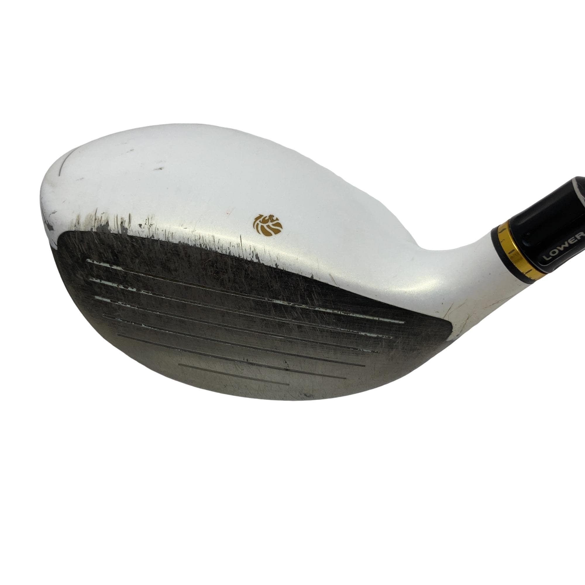 �f�k�n�h�q�d�@�T�v